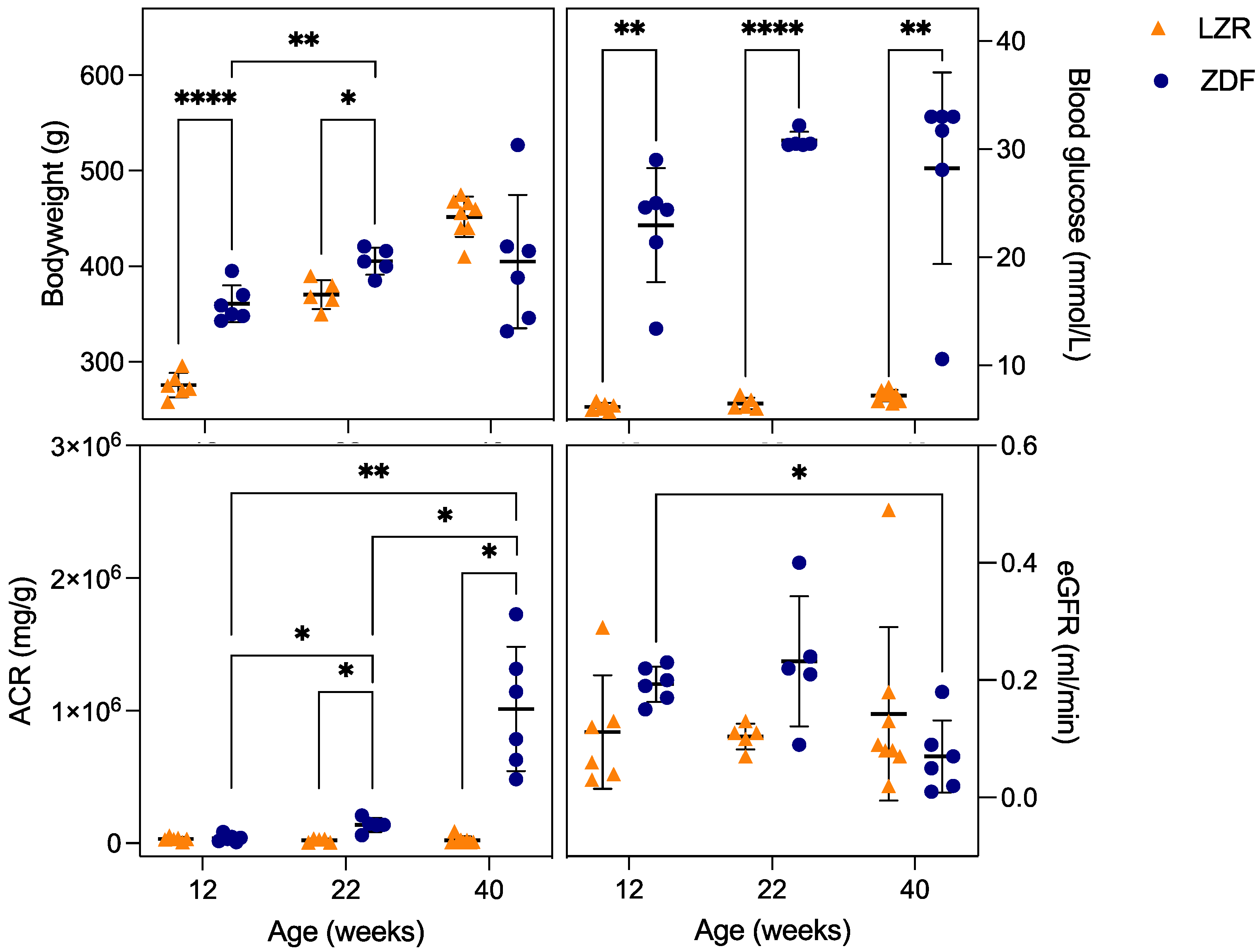 Diagnostics 13 03197 g004
