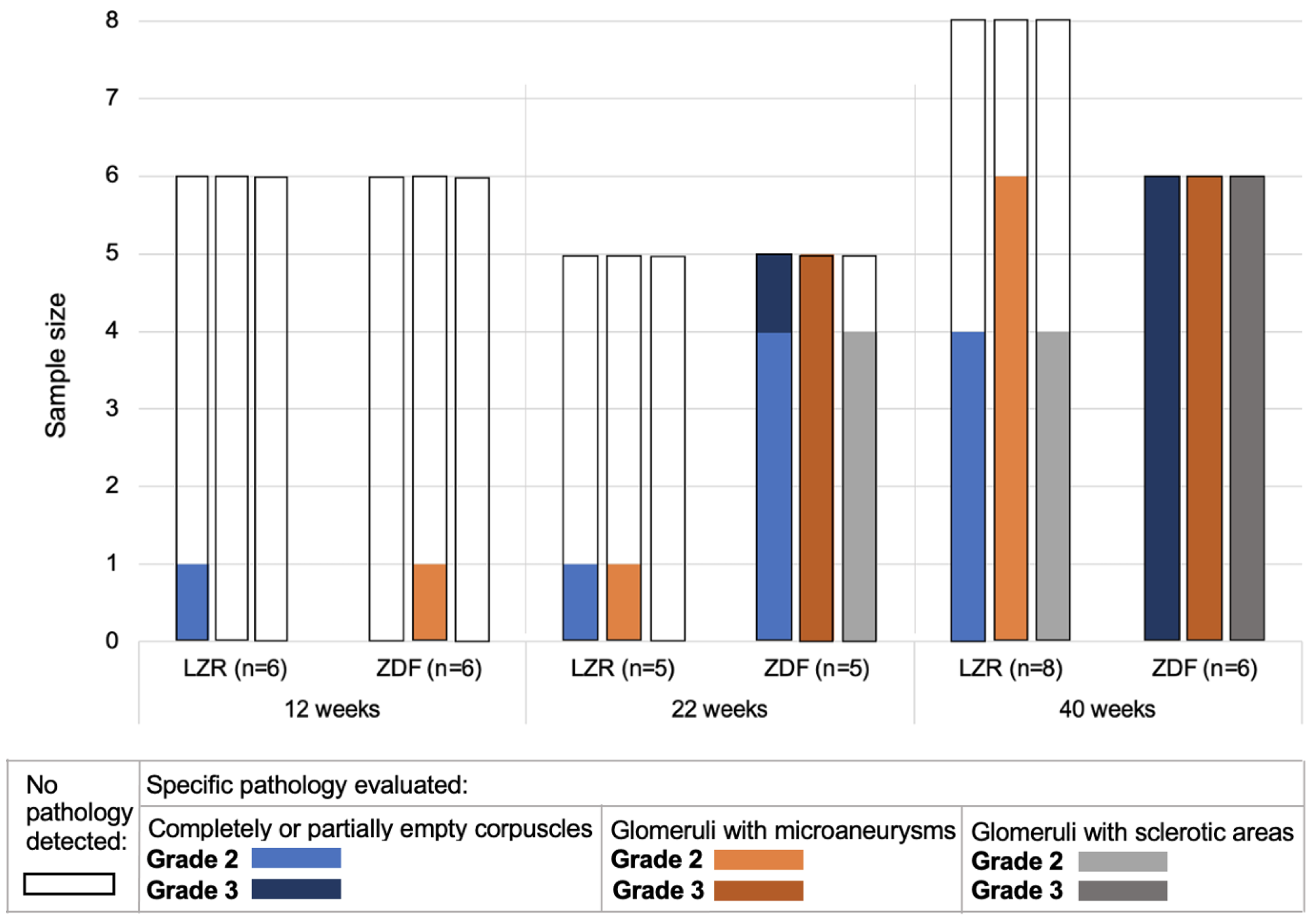 Diagnostics 13 03197 g005