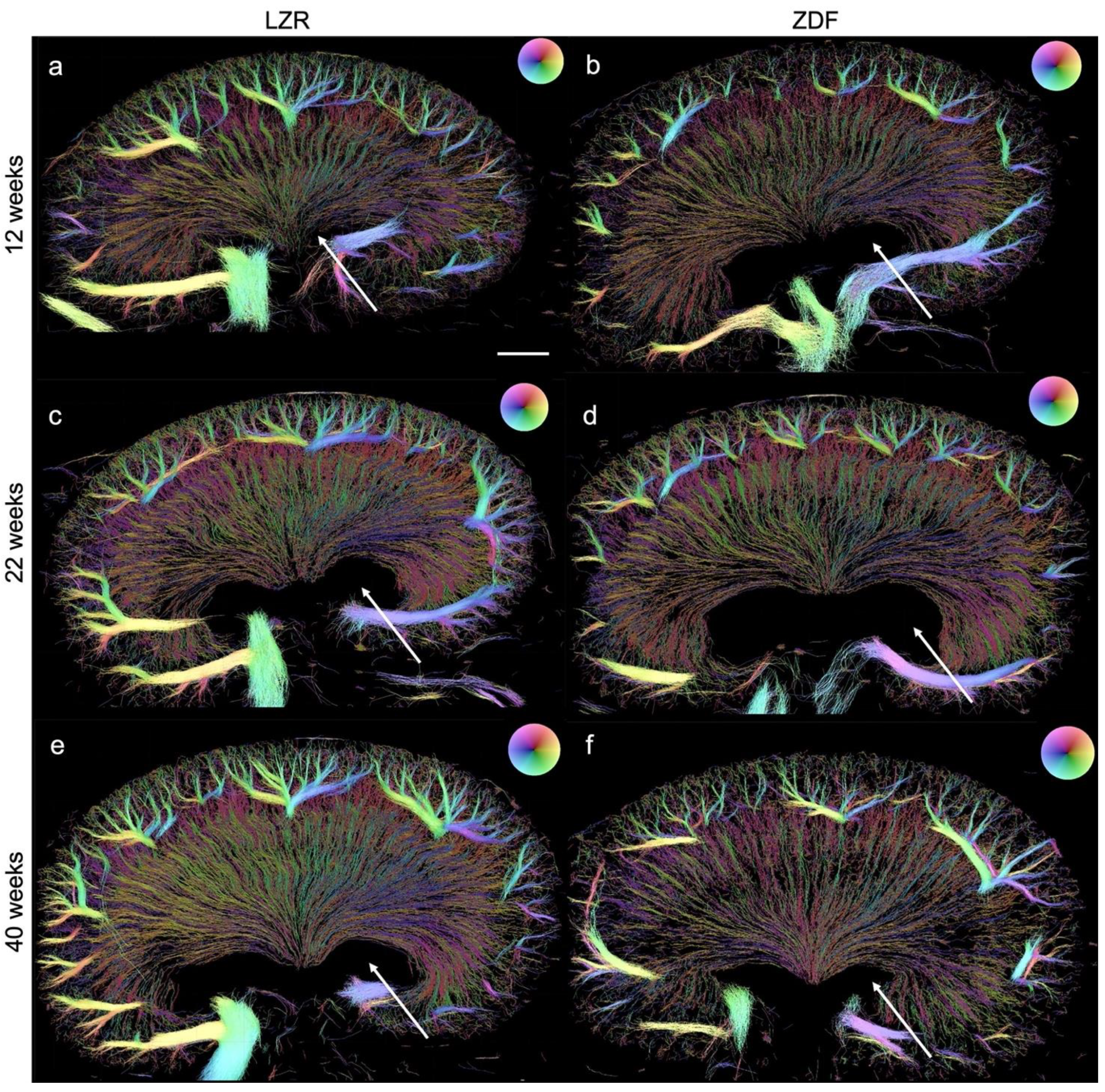 Diagnostics 13 03197 g007