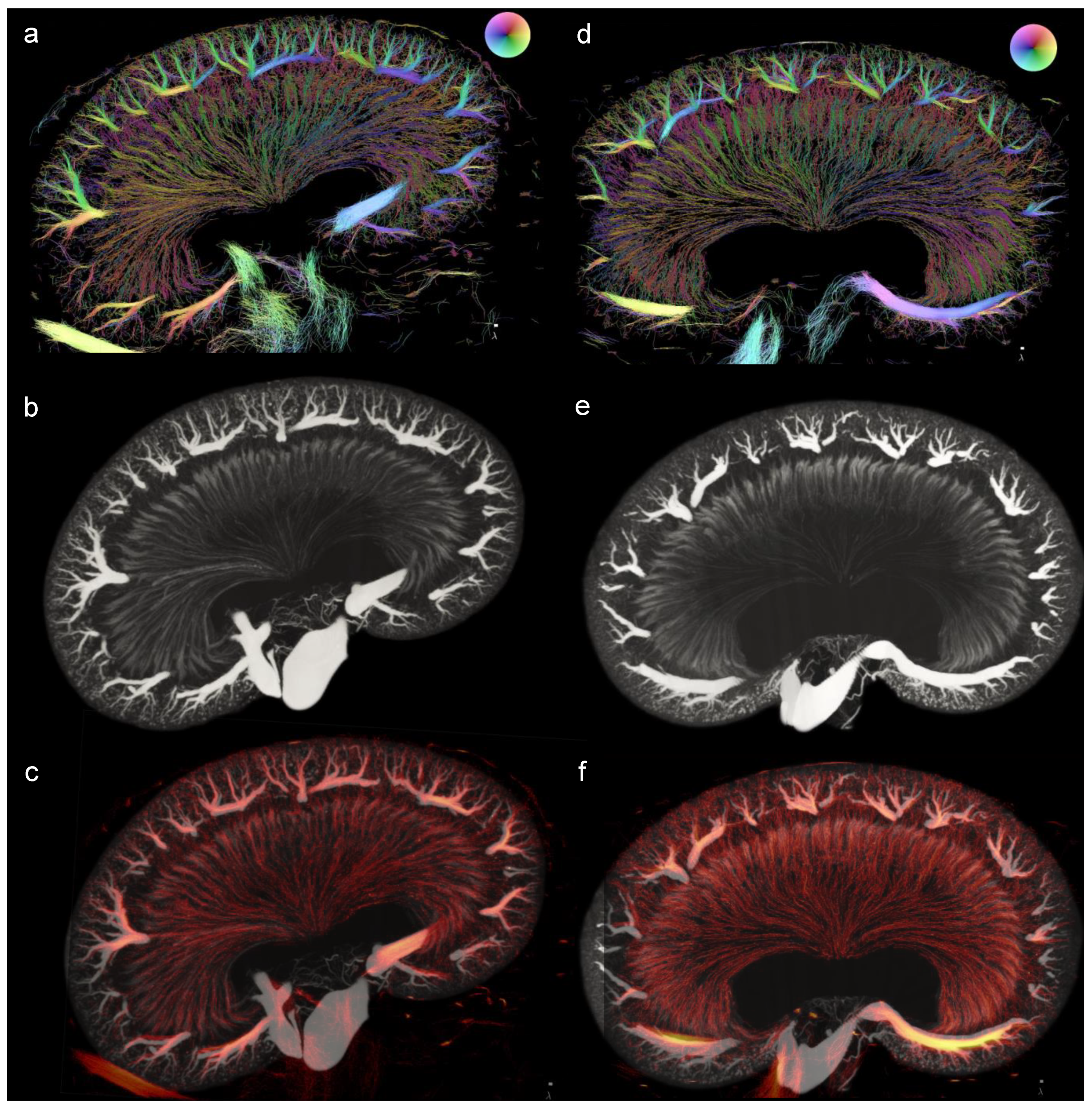 Diagnostics 13 03197 g011