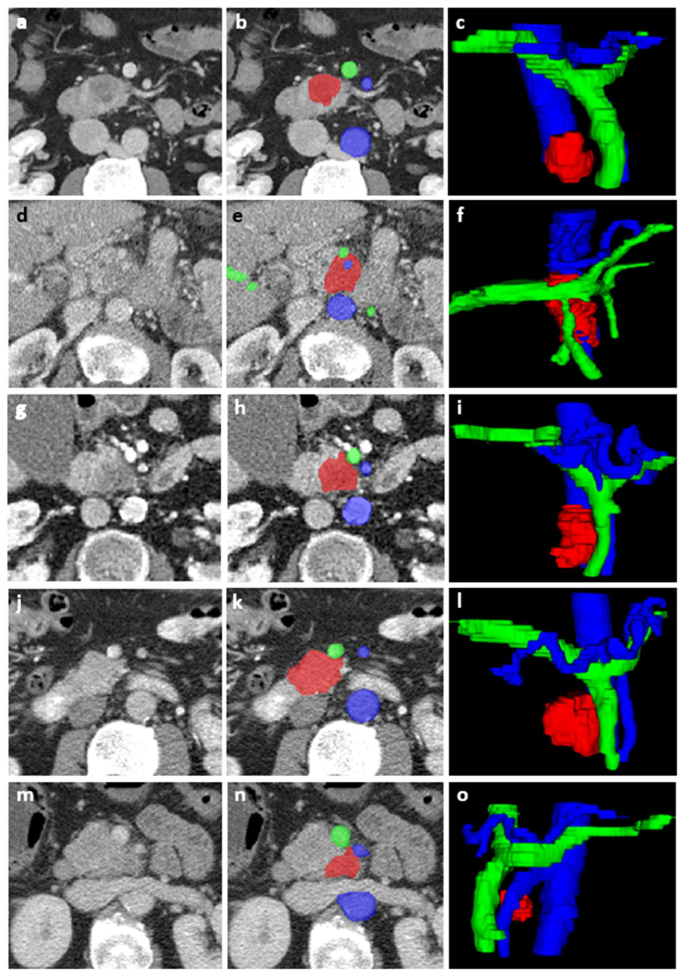 Diagnostics 13 03198 g002 Diagnostics 13 03198 g002
