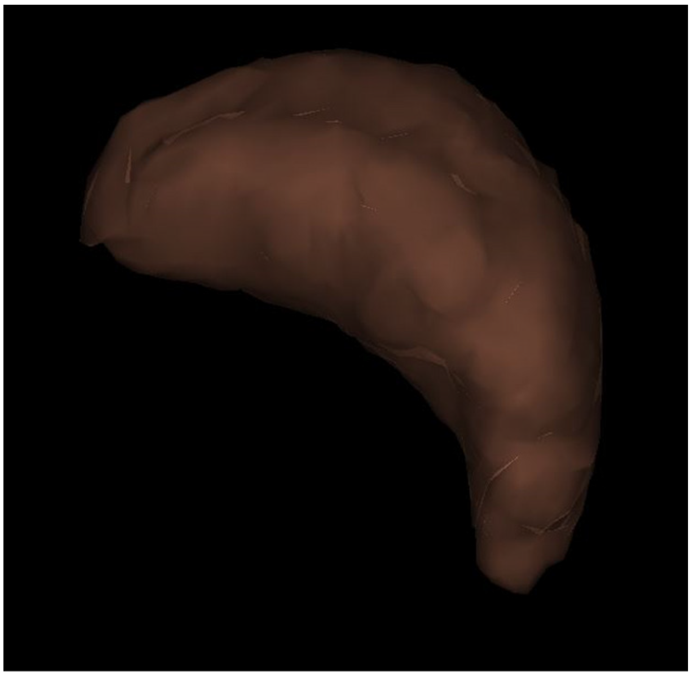 Diagnostics 13 03200 g002