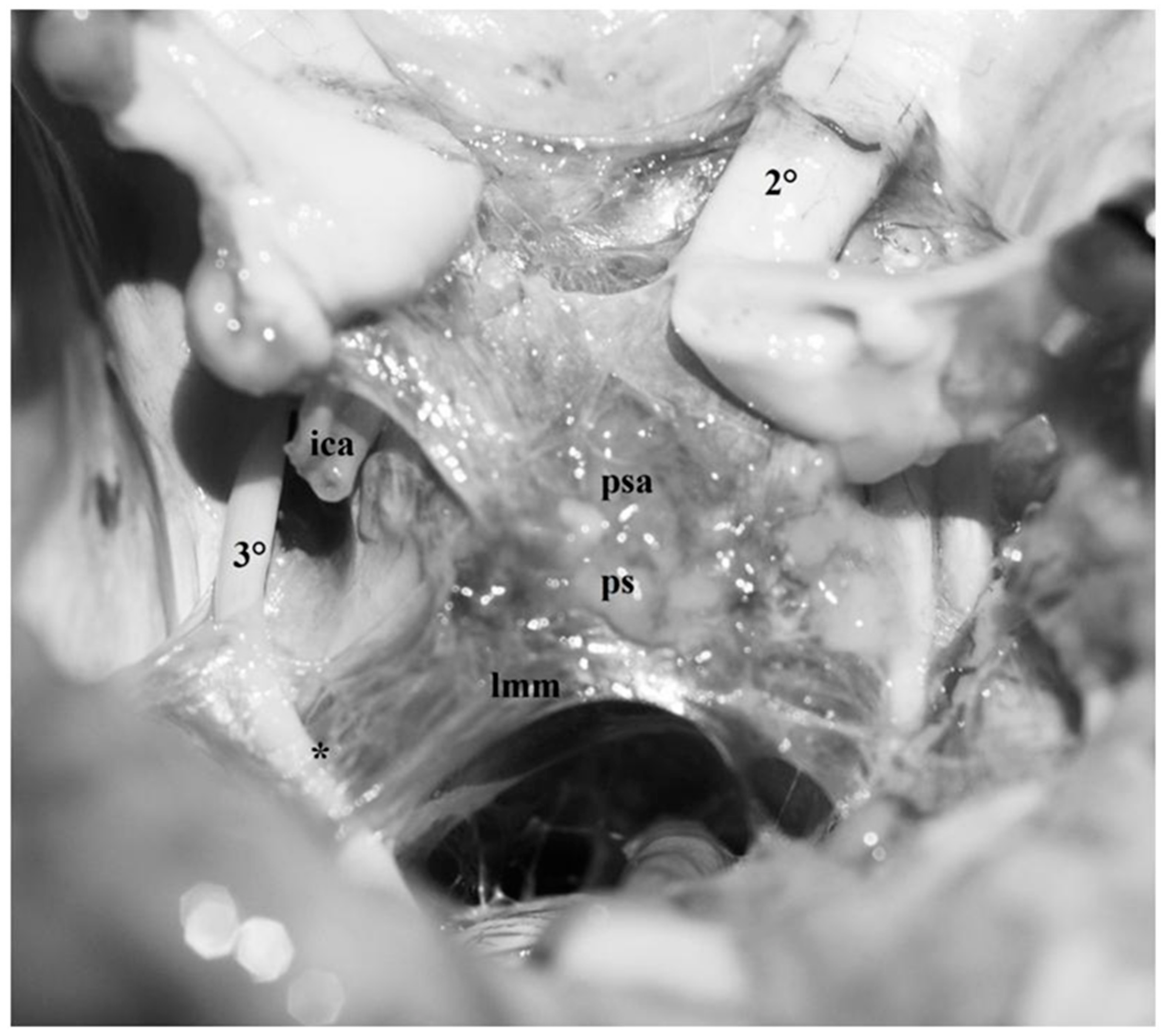 Diagnostics 13 03203 g009