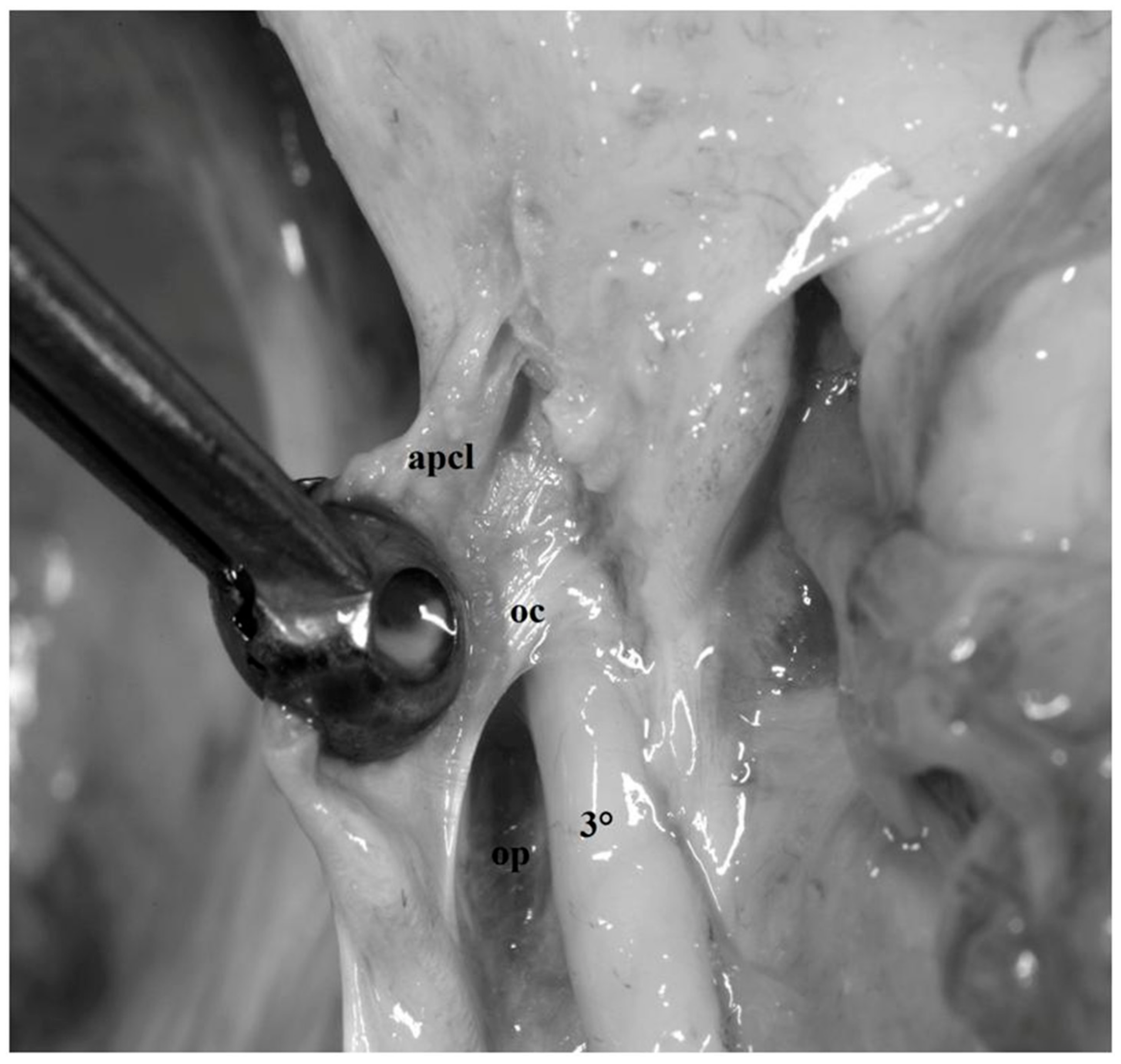 Diagnostics 13 03203 g011