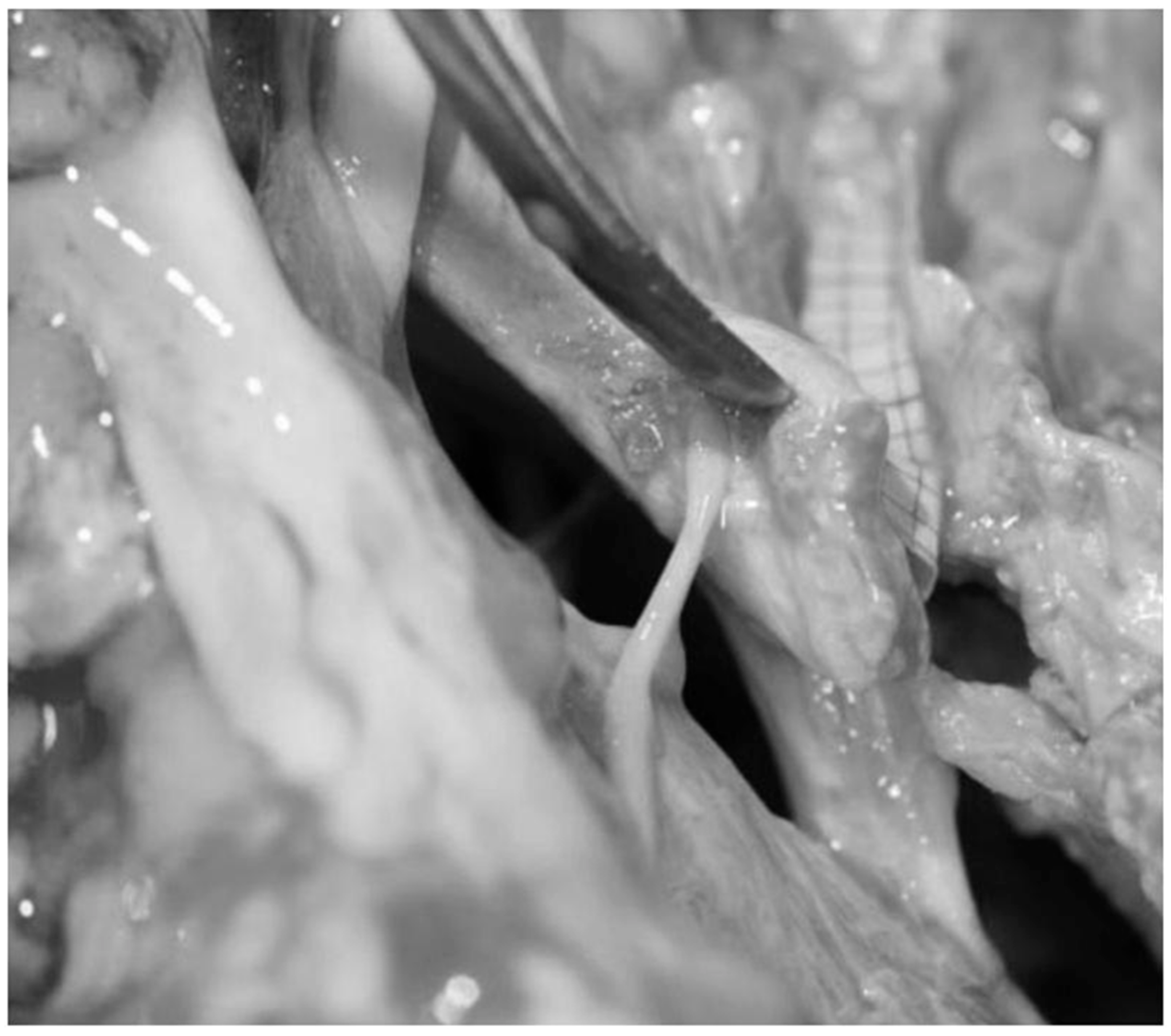 Diagnostics 13 03203 g012