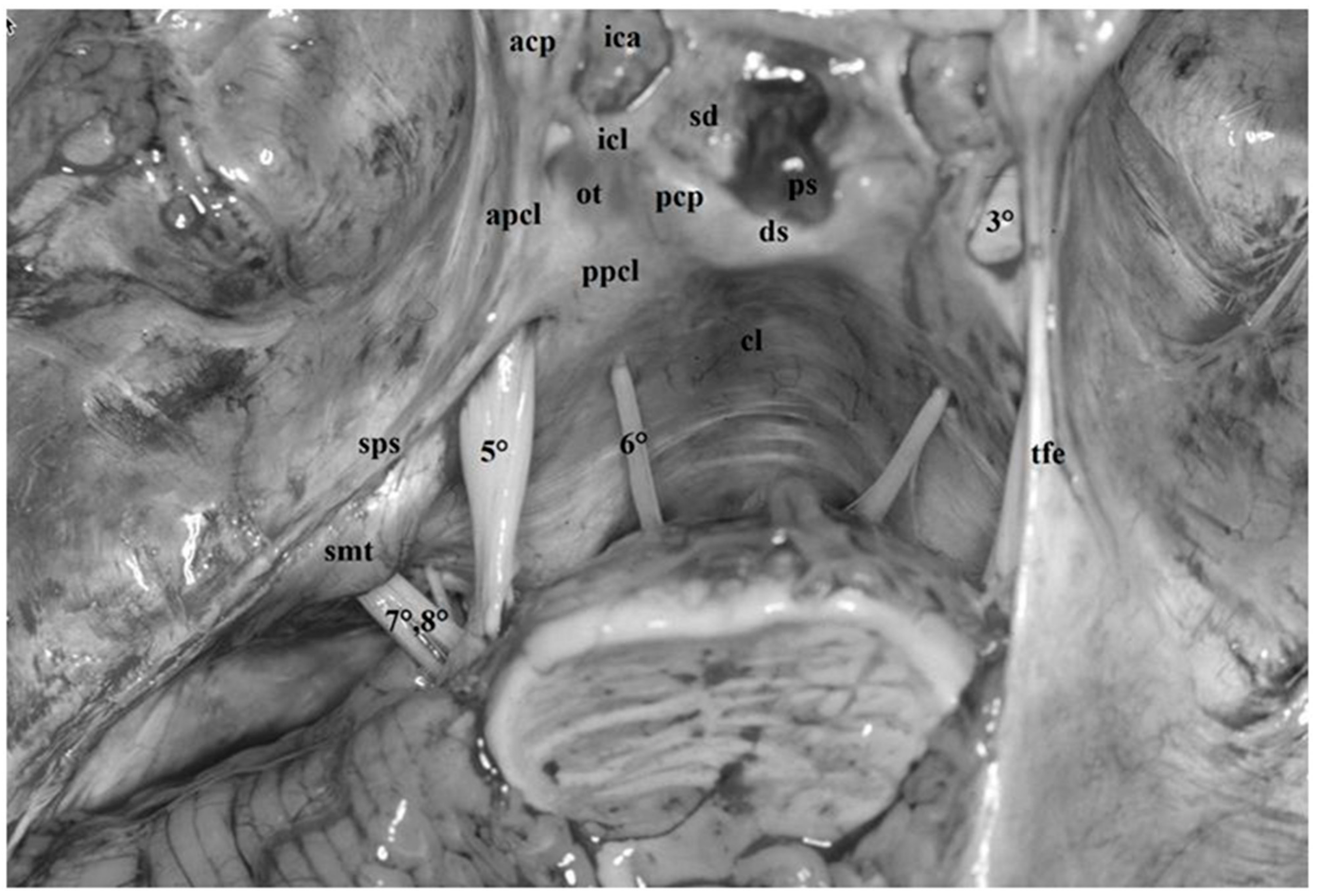 Diagnostics 13 03203 g013