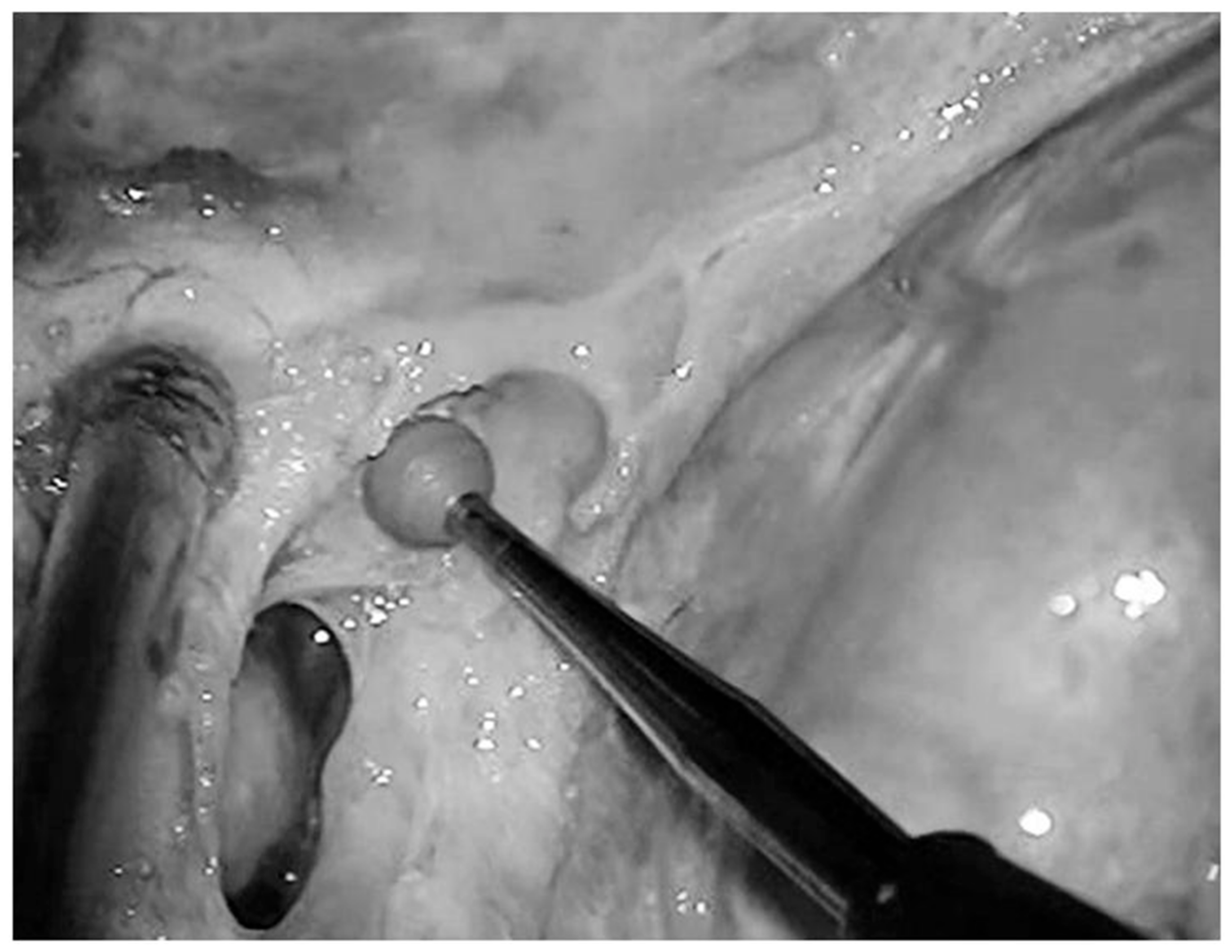 Diagnostics 13 03203 g014