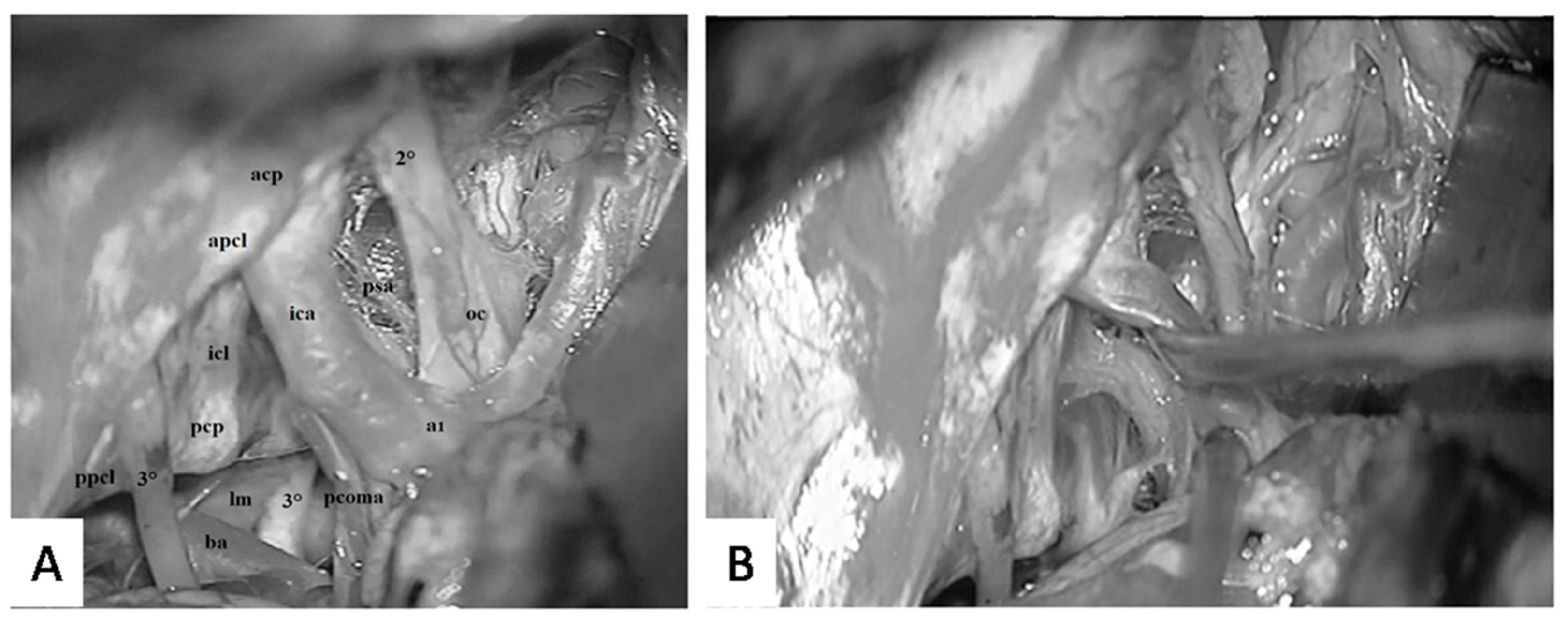 Diagnostics 13 03203 g015