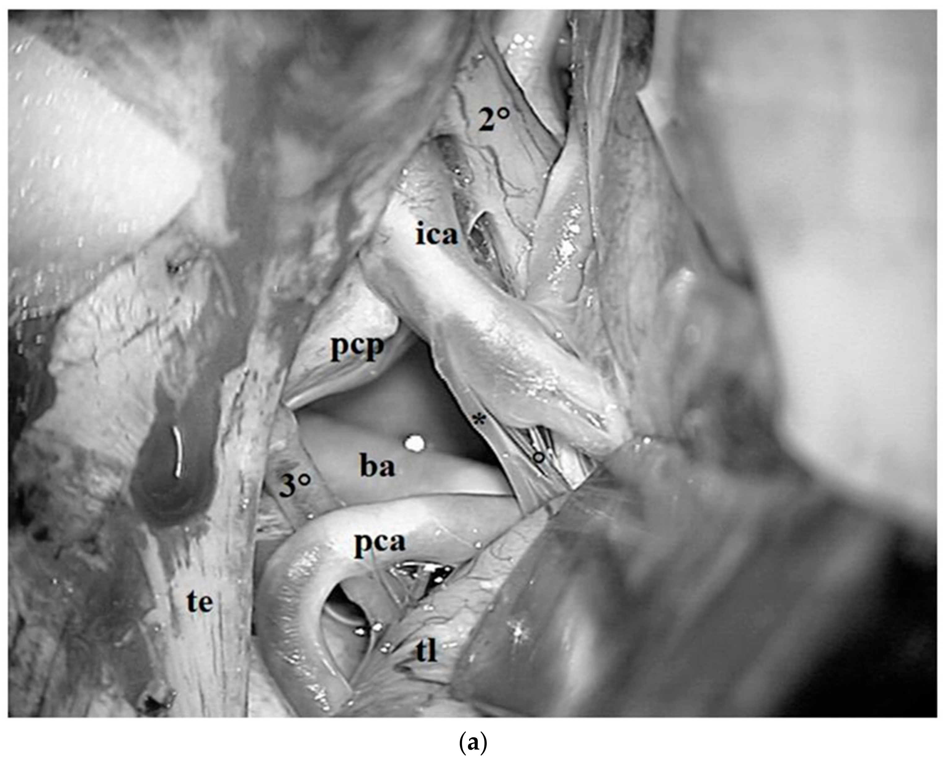 Diagnostics 13 03203 g016a