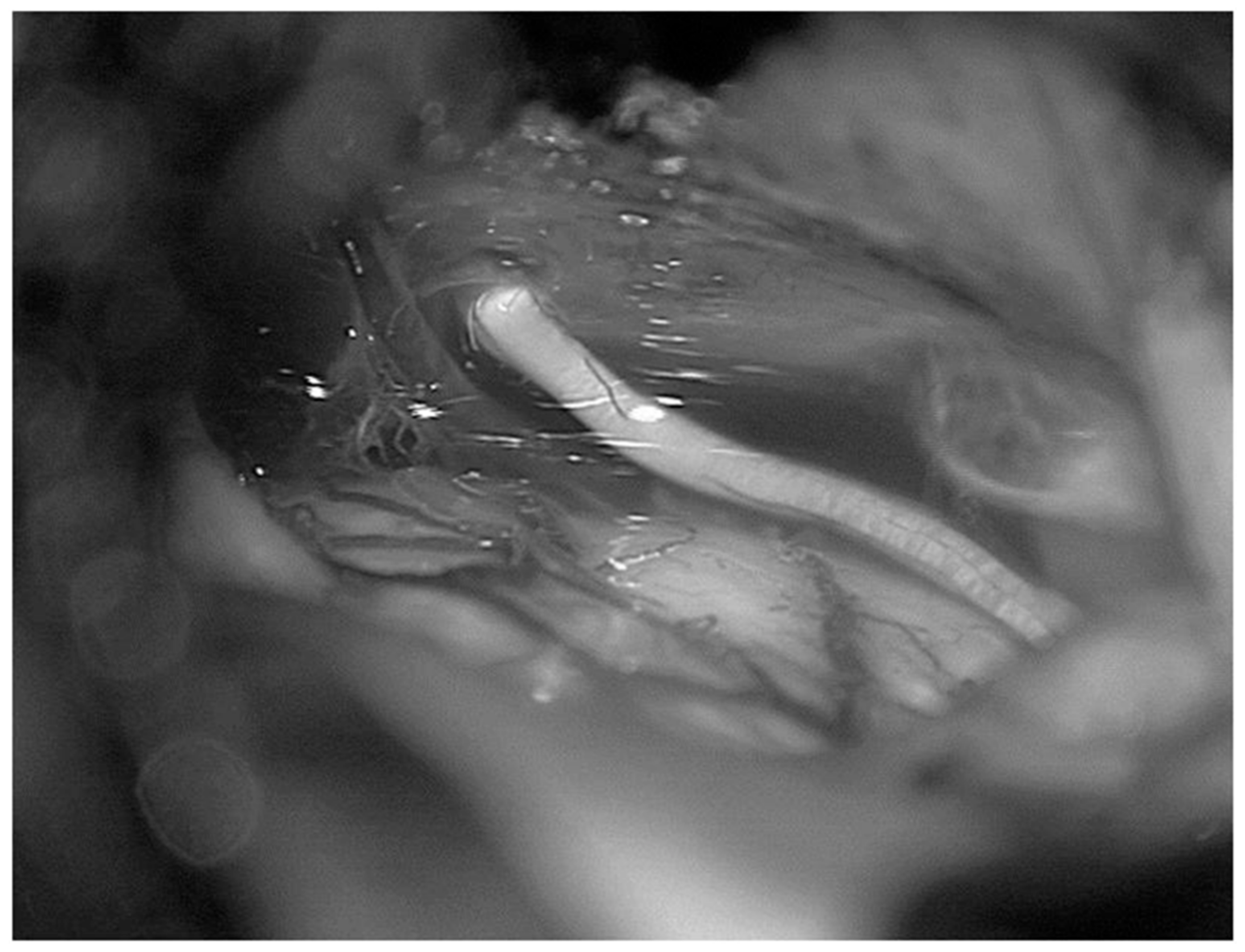 Diagnostics 13 03203 g017