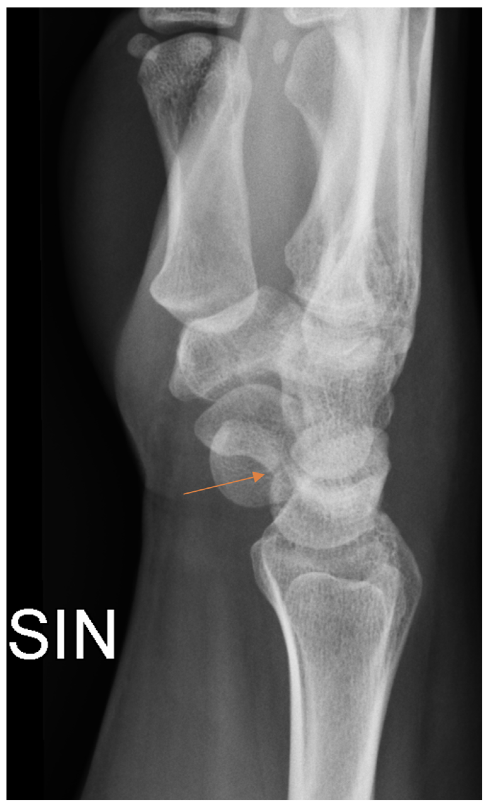 Diagnostics 13 03207 g002