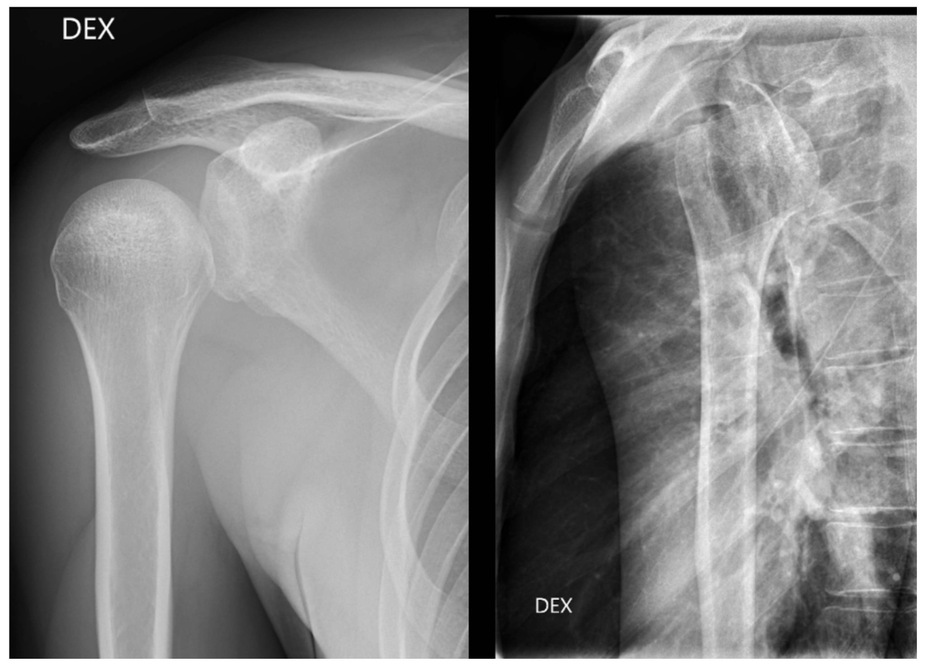 Diagnostics 13 03207 g004