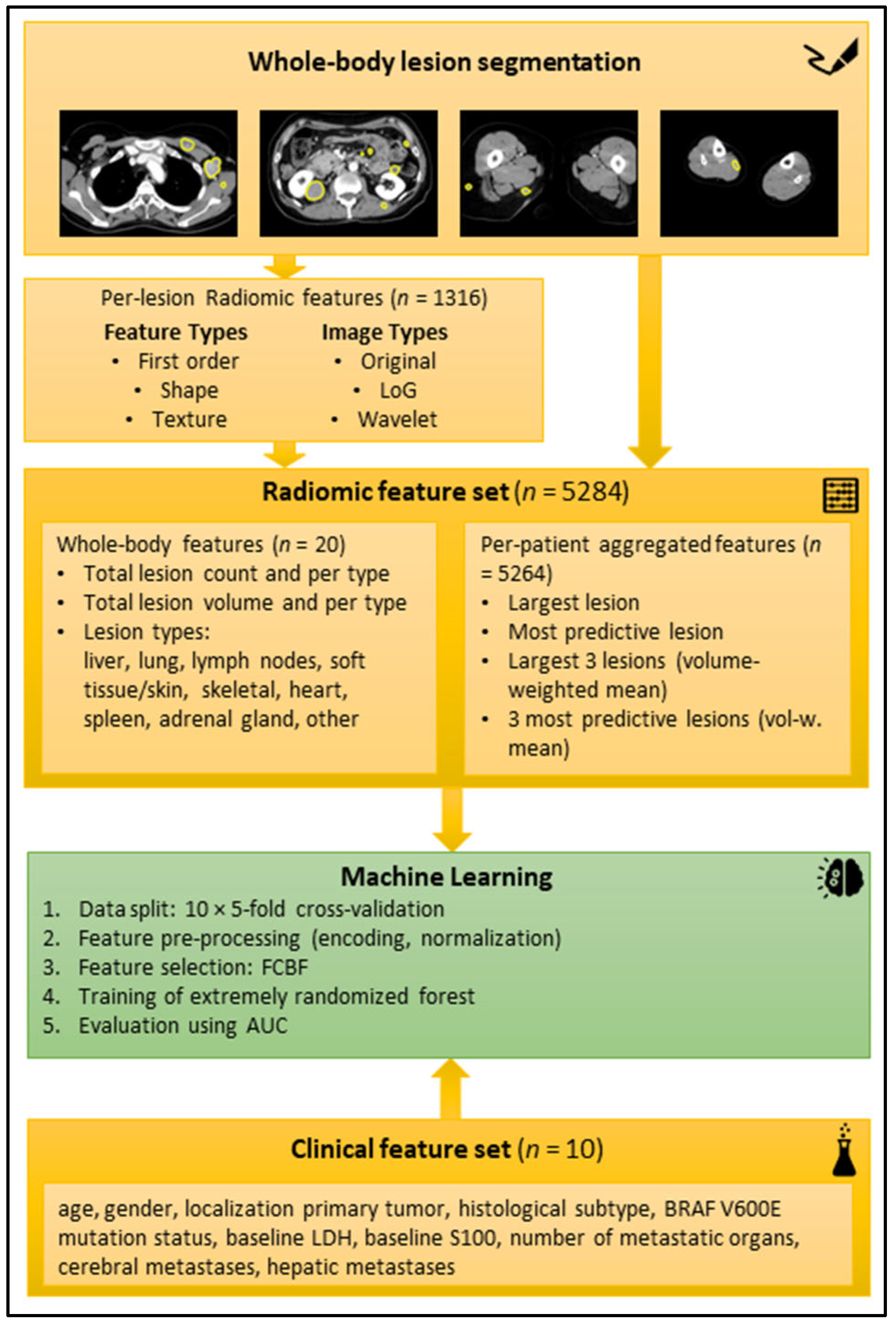 Diagnostics 13 03210 g003