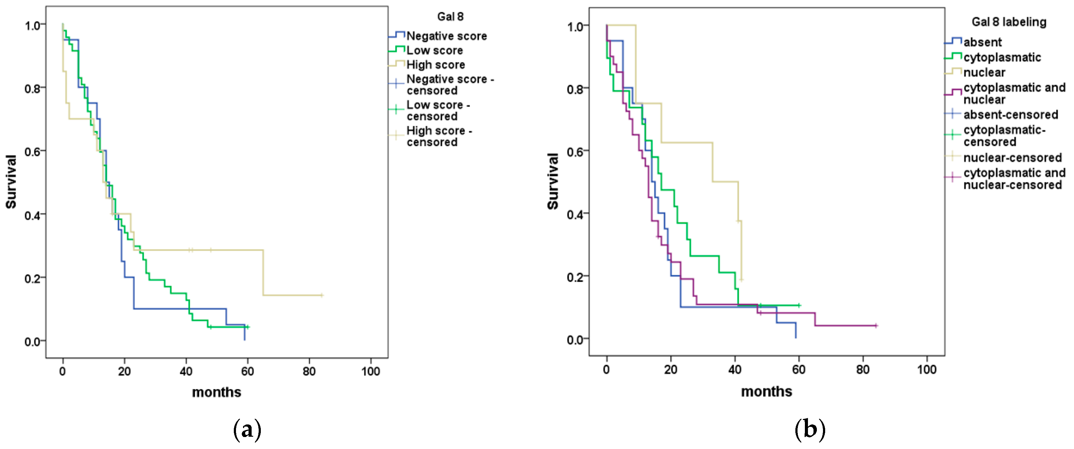 Diagnostics 13 03215 g003