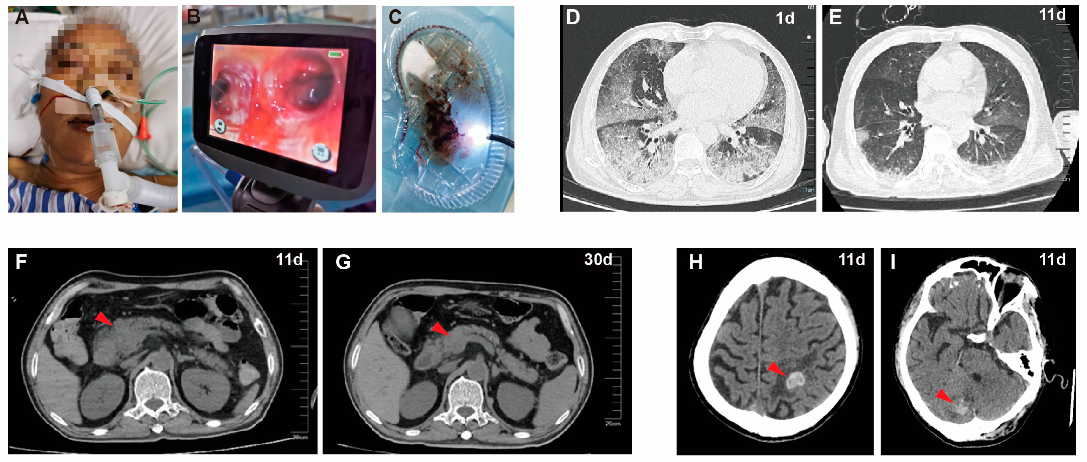 Diagnostics 13 03218 g001
