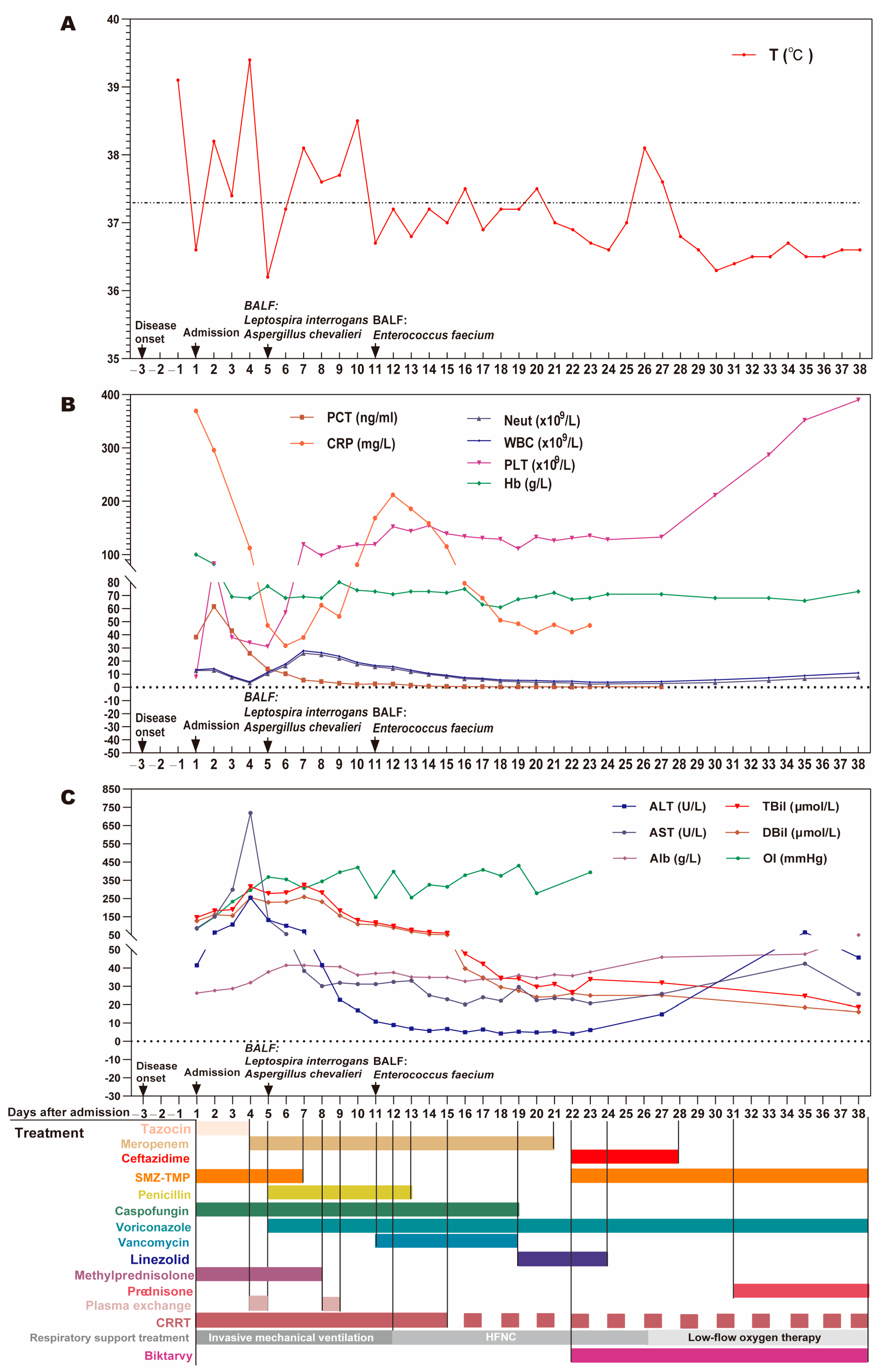 Diagnostics 13 03218 g002