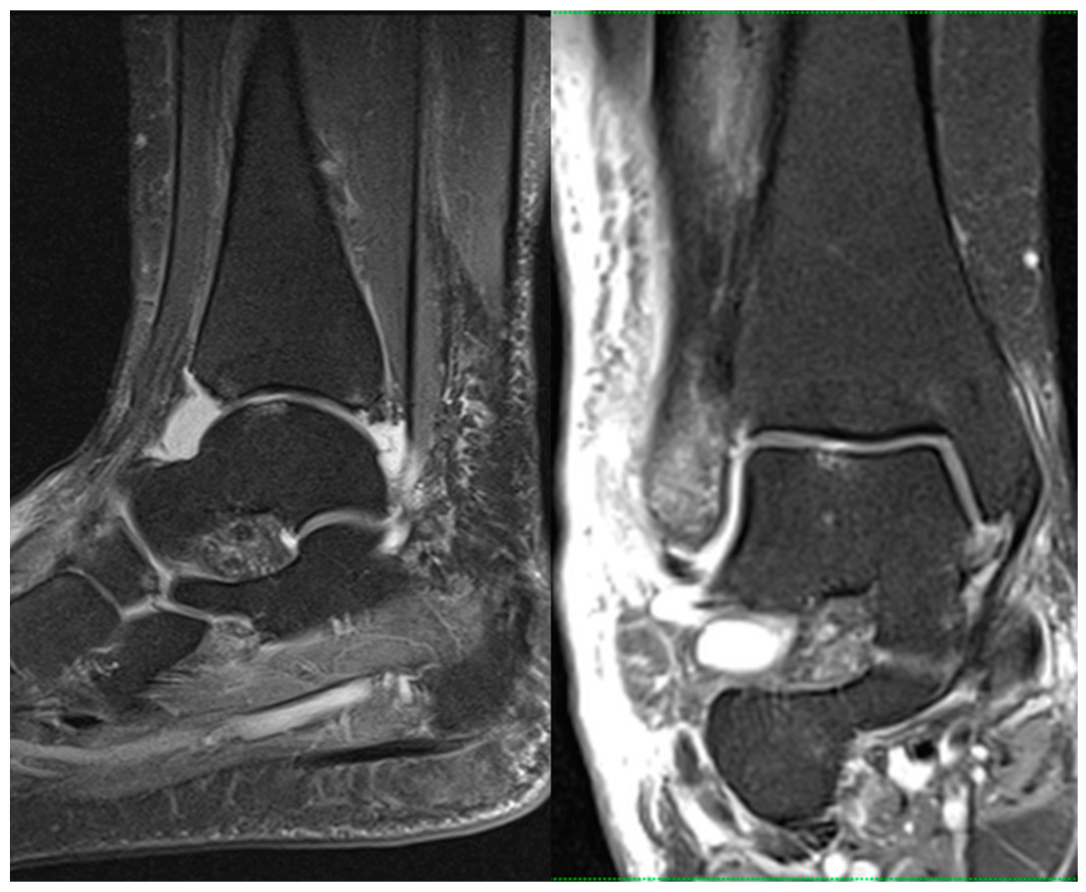 Diagnostics 13 03220 g001