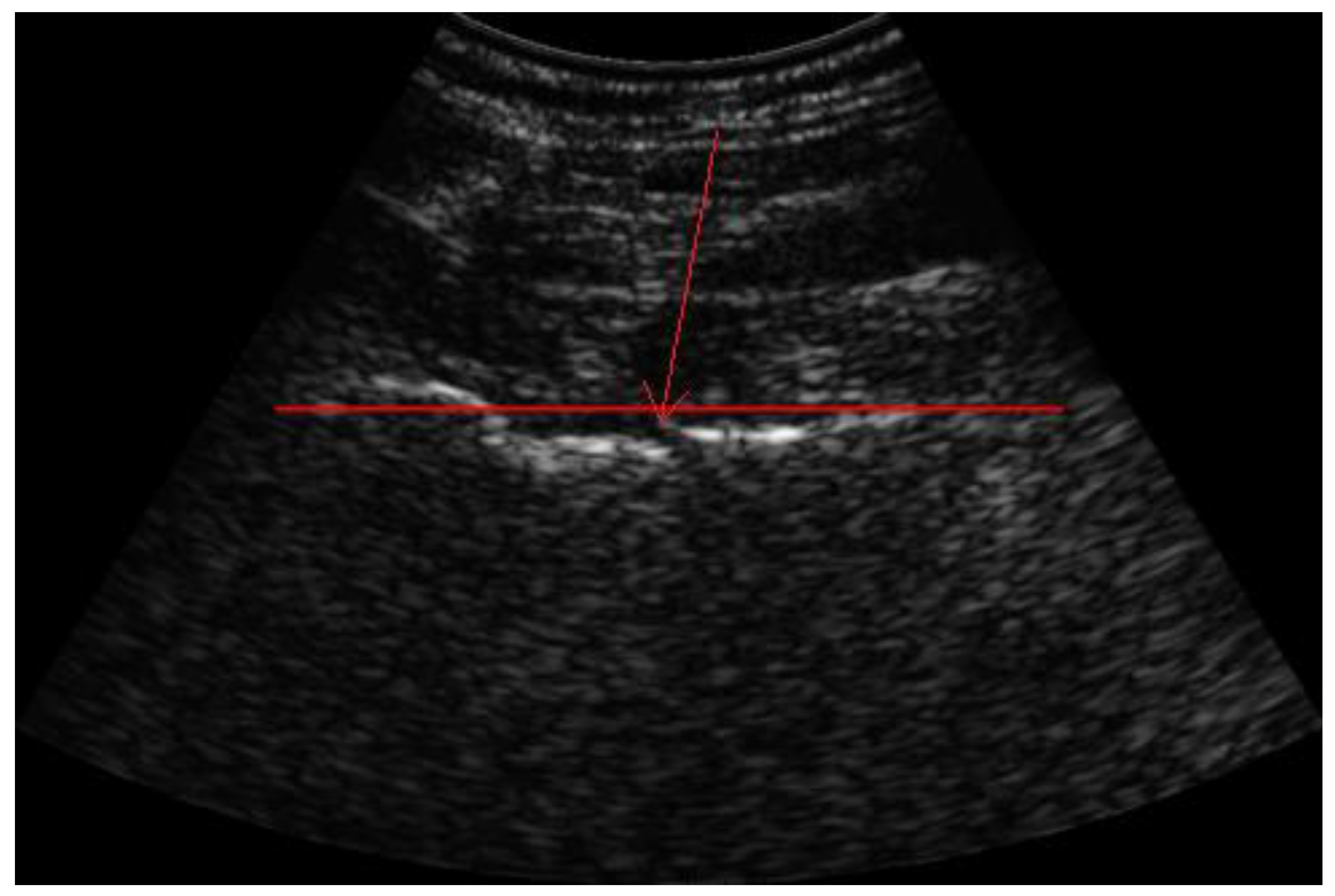 Diagnostics 13 03224 g001