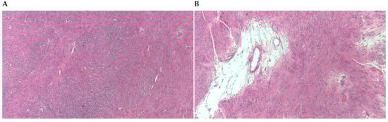 Diagnostics 13 03230 g002