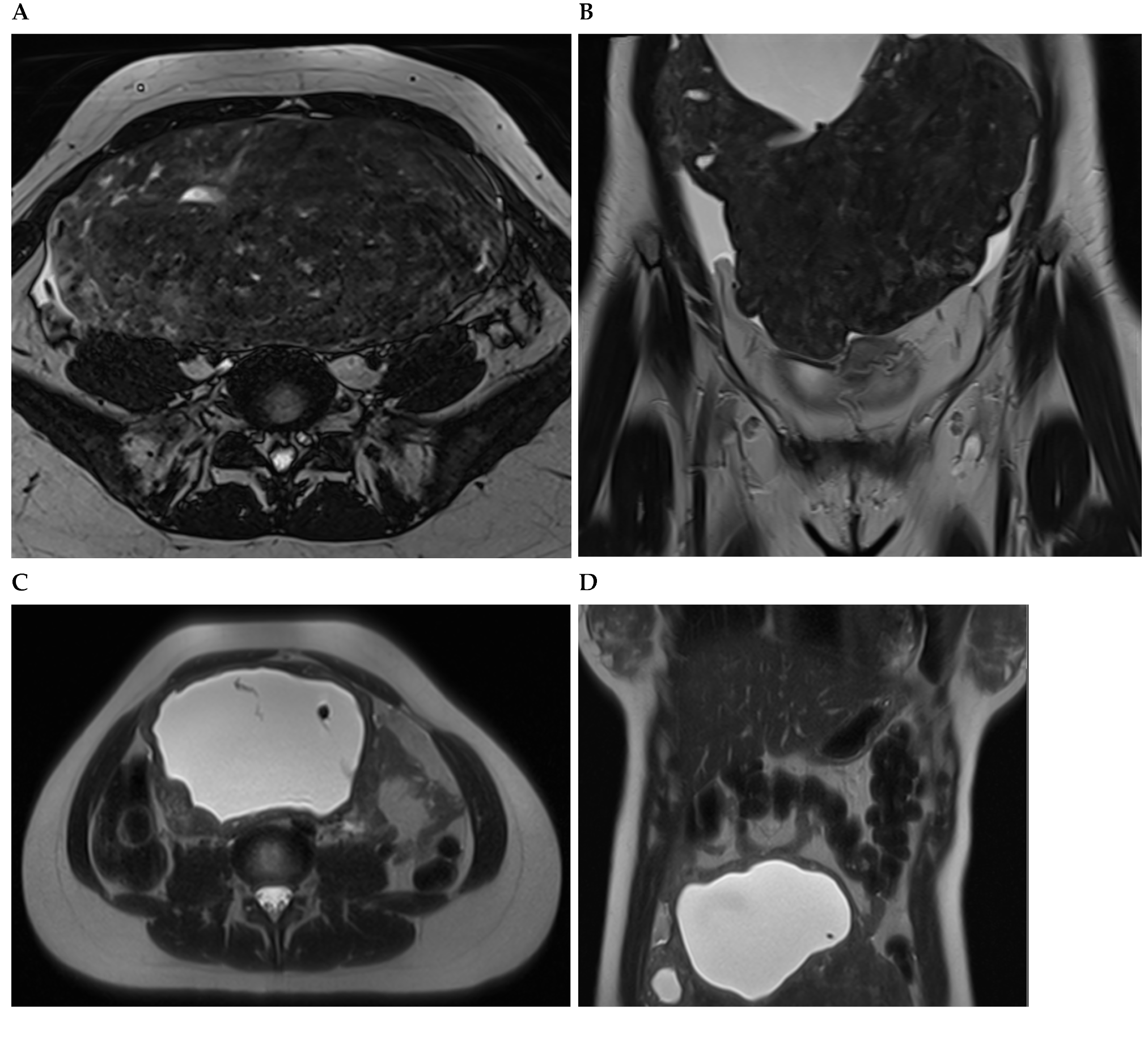 Diagnostics 13 03230 g003a