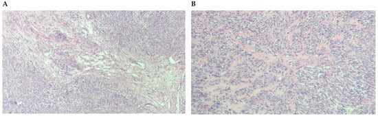 Diagnostics 13 03230 g004