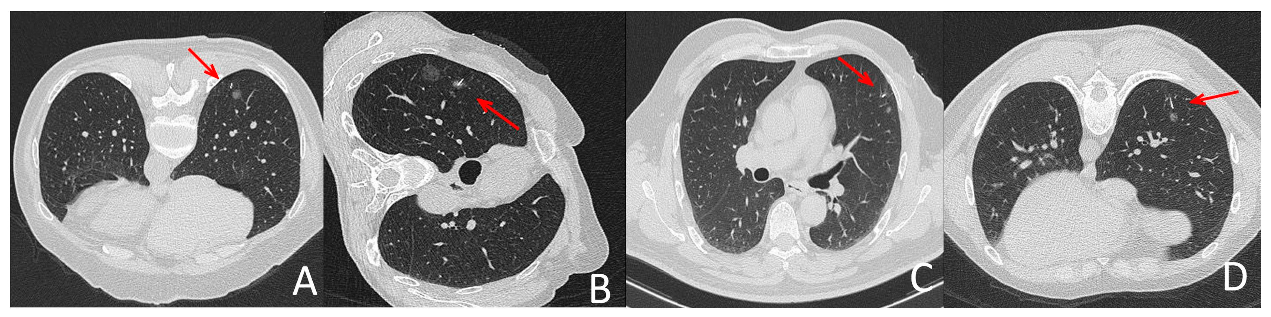 Diagnostics 13 03235 g001