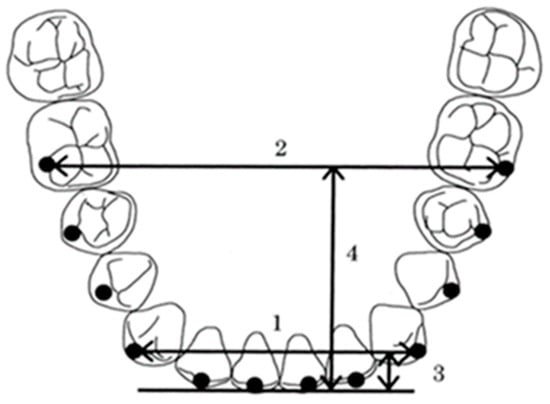 Diagnostics 13 03237 g003