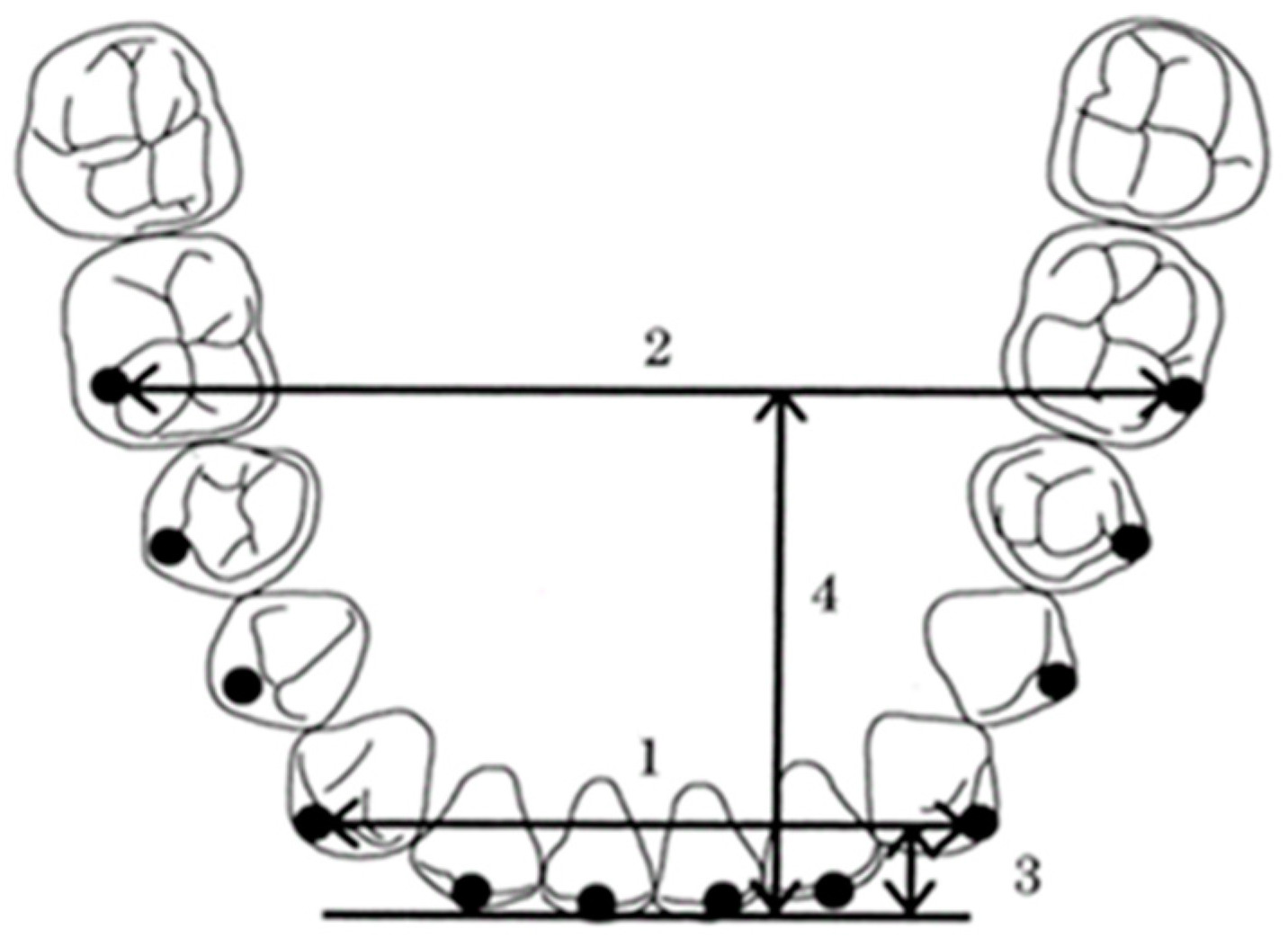 Diagnostics 13 03237 g003