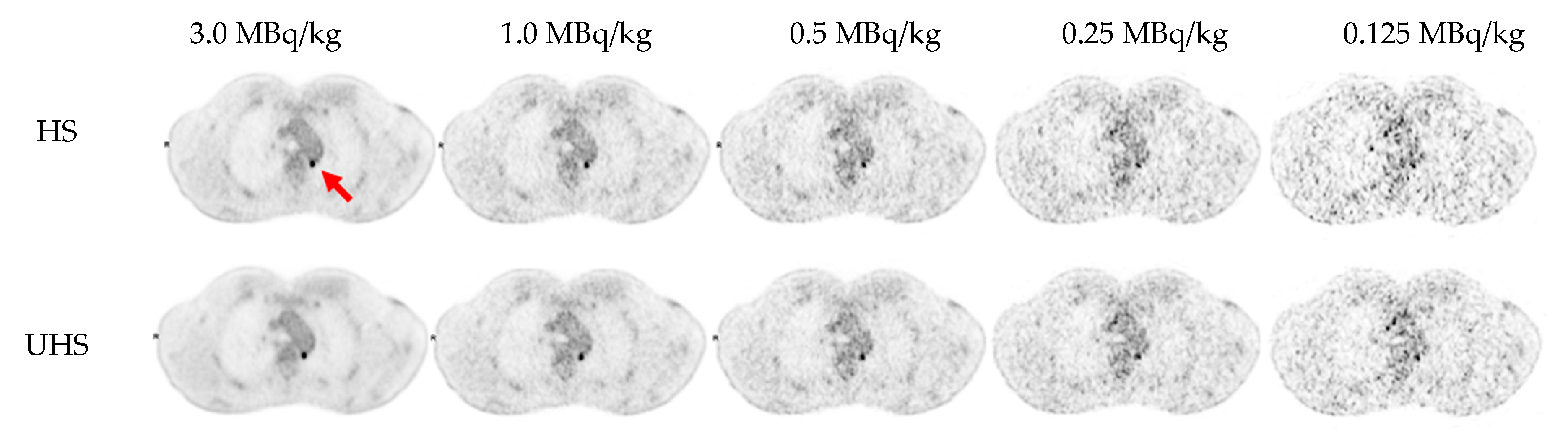 Diagnostics 13 03240 g003