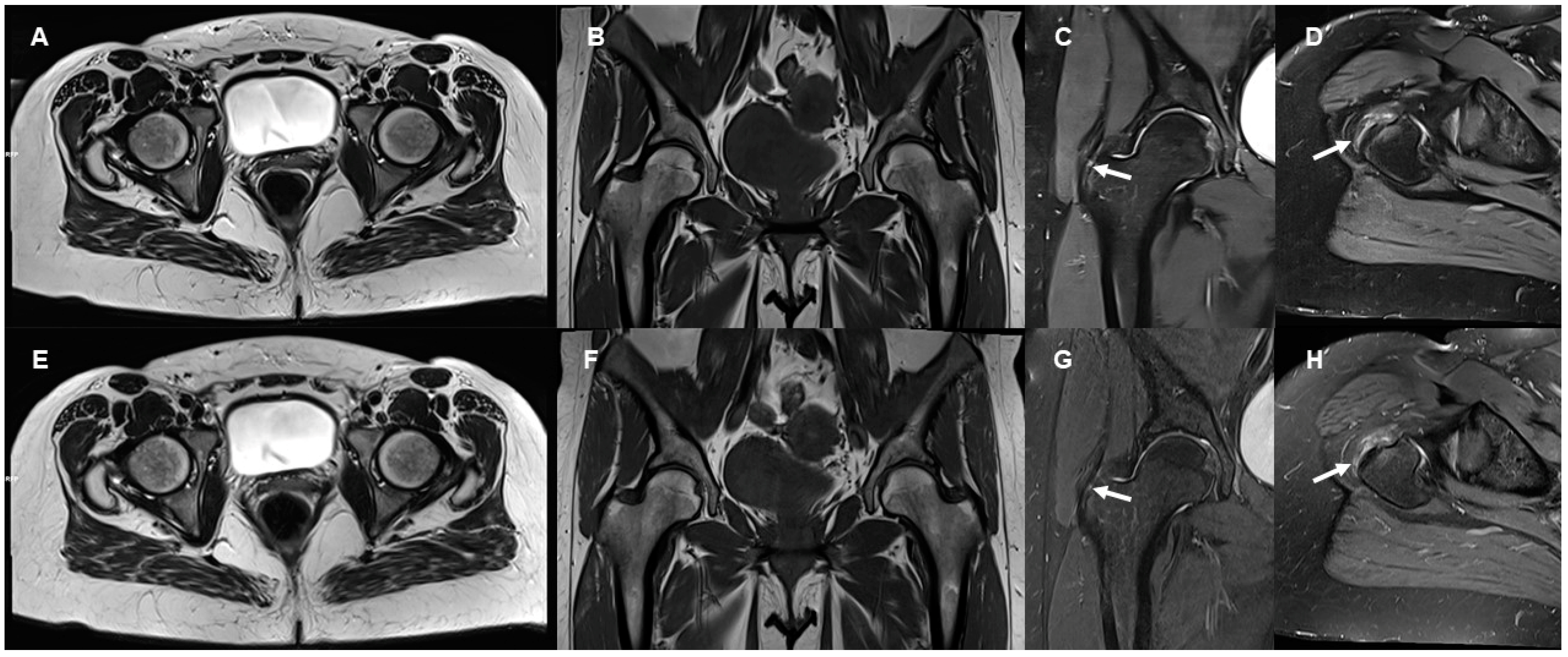 Diagnostics 13 03241 g001