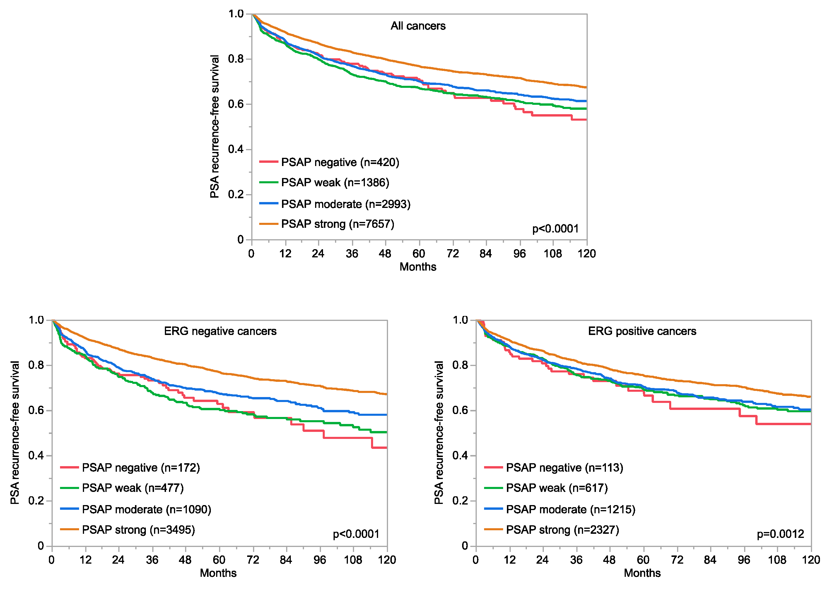 Diagnostics 13 03242 g003