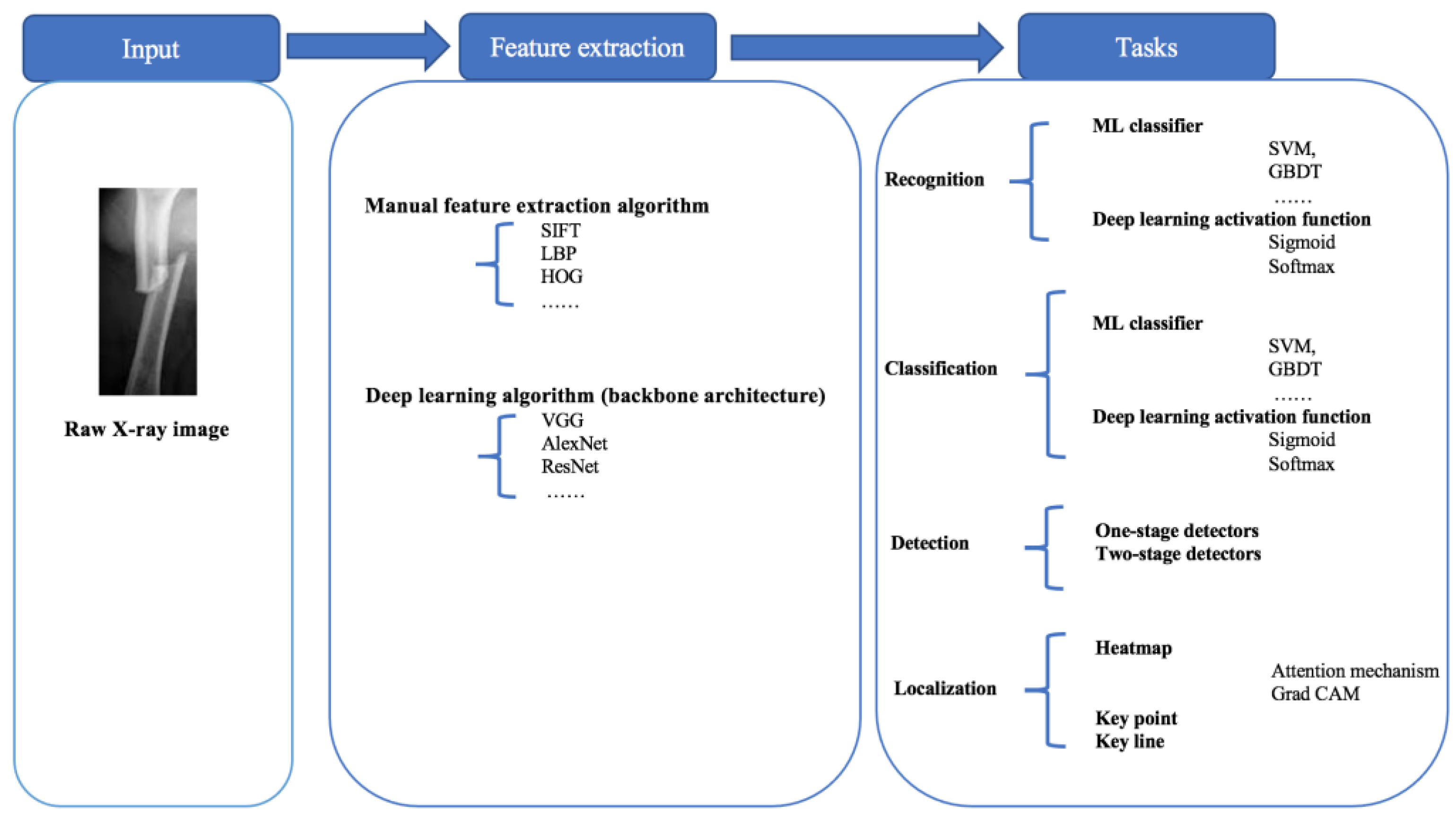 Diagnostics 13 03245 g002