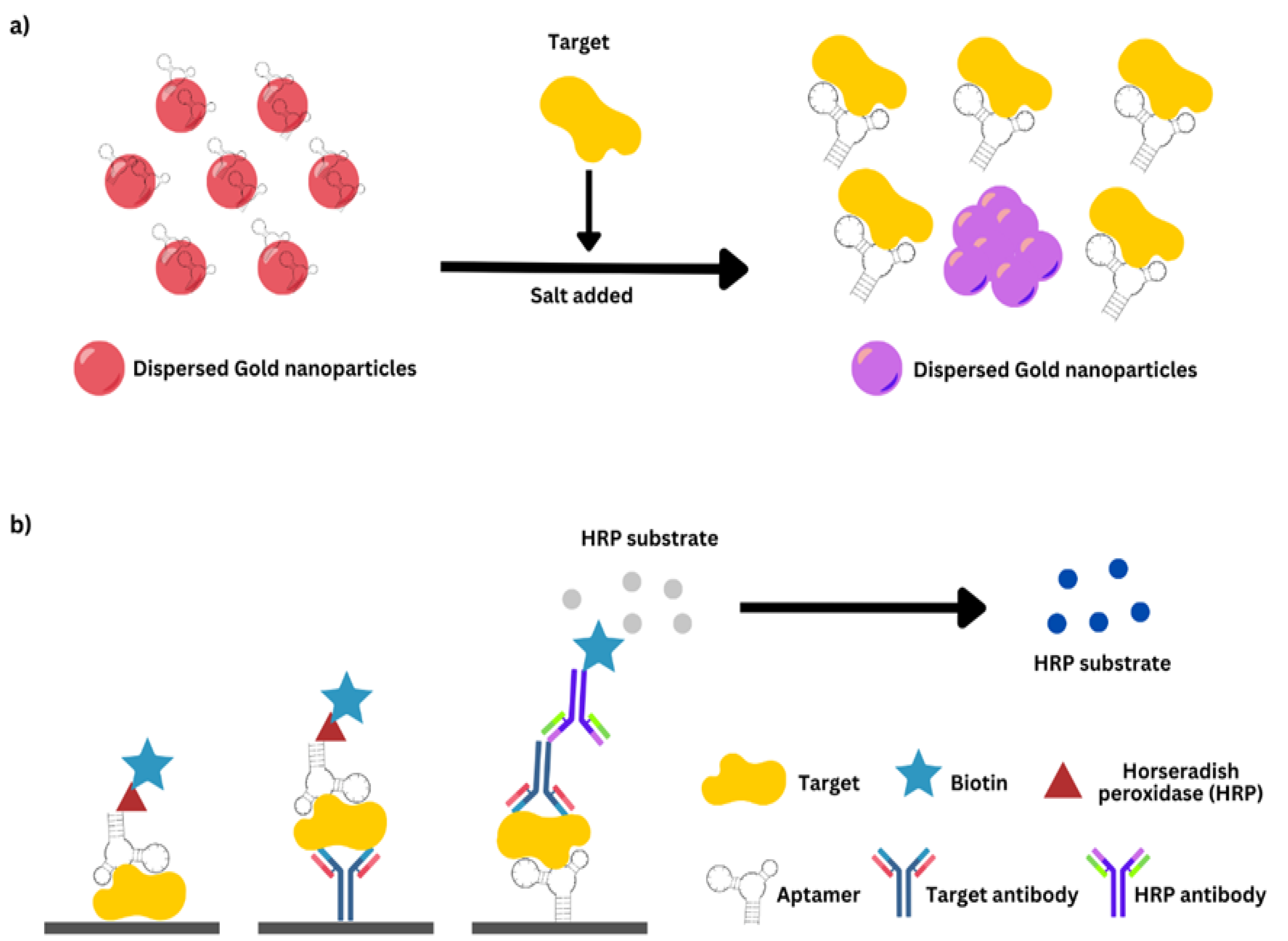 Diagnostics 13 03246 g001