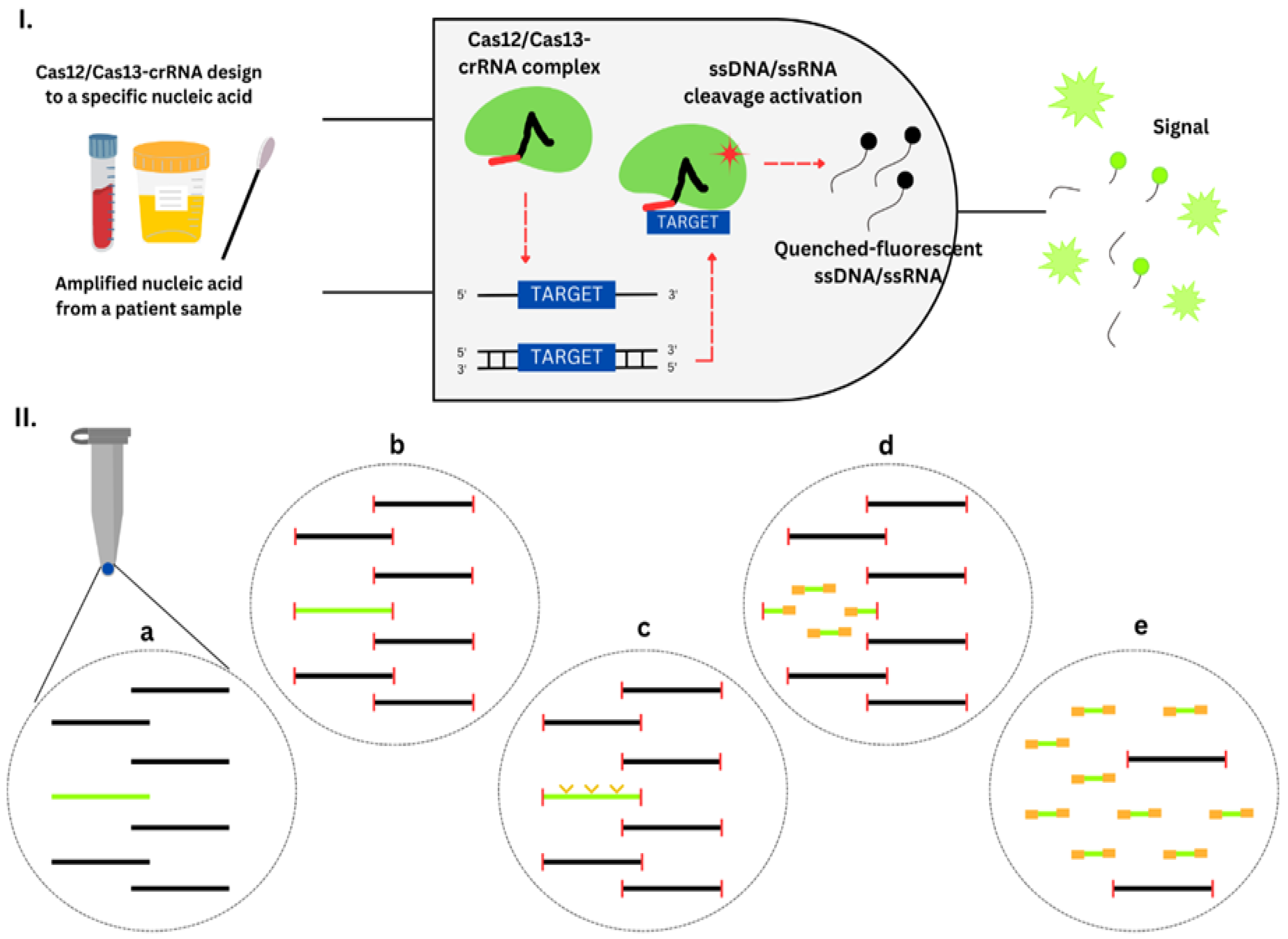 Diagnostics 13 03246 g002