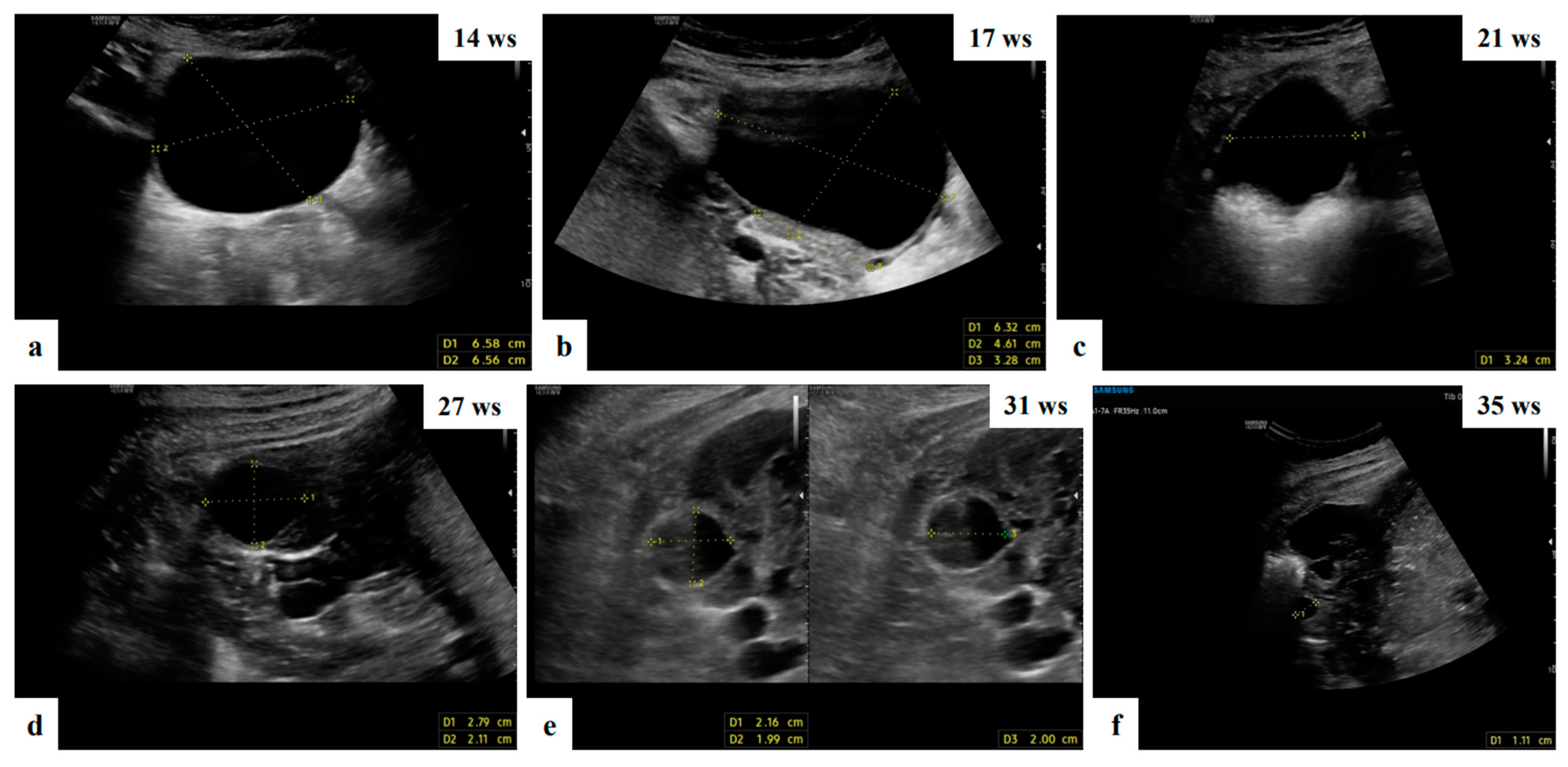 Diagnostics 13 03247 g002
