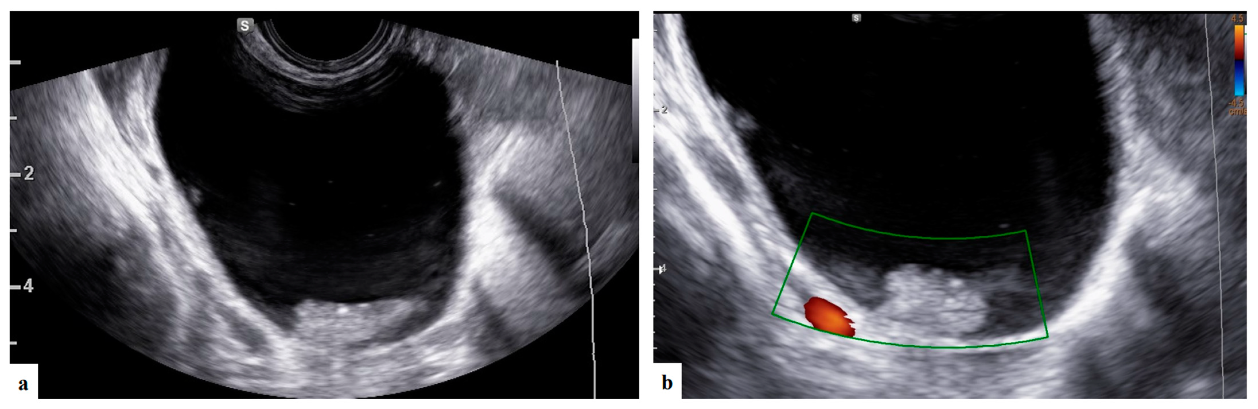 Diagnostics 13 03247 g003