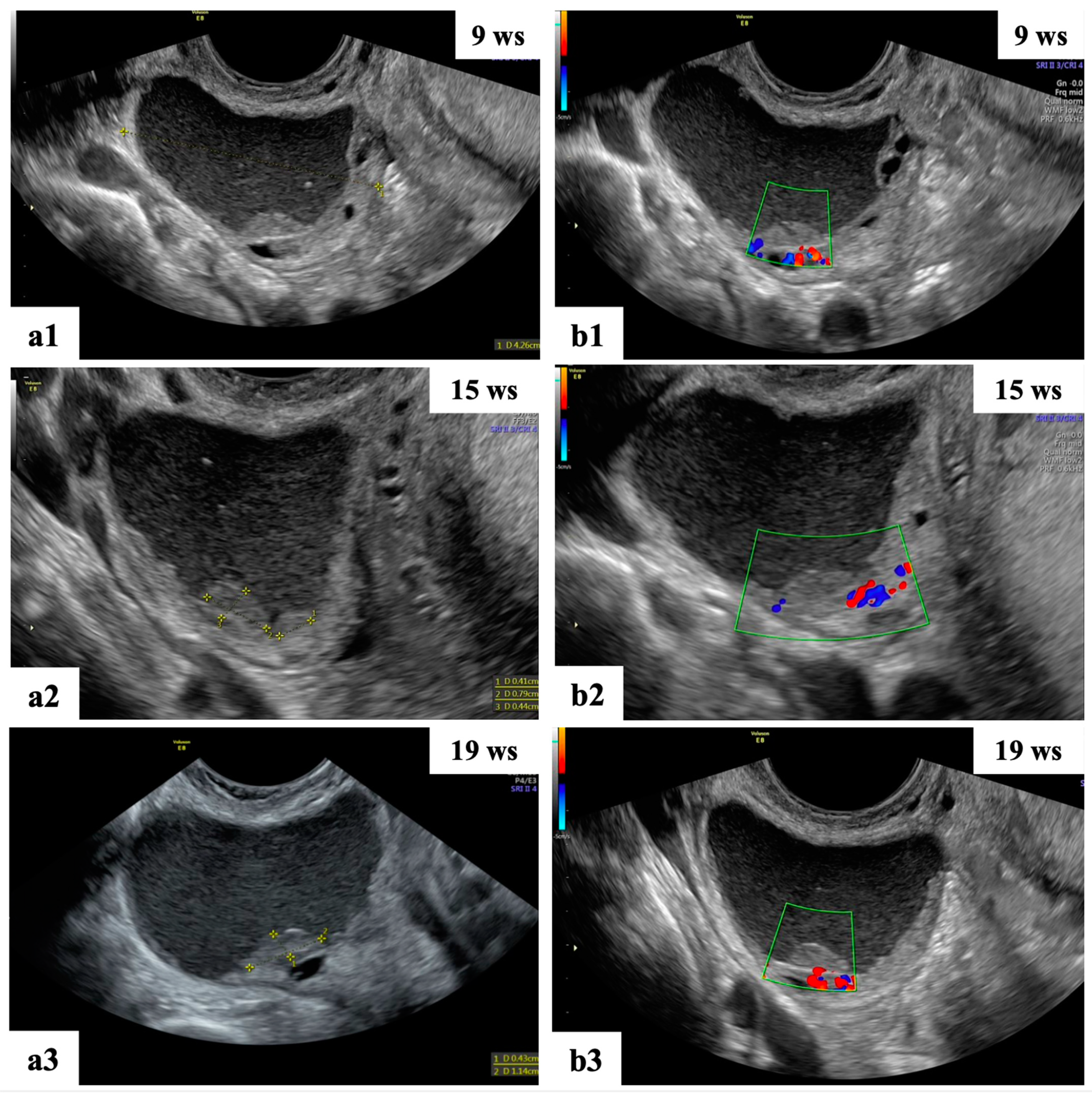 Diagnostics 13 03247 g005