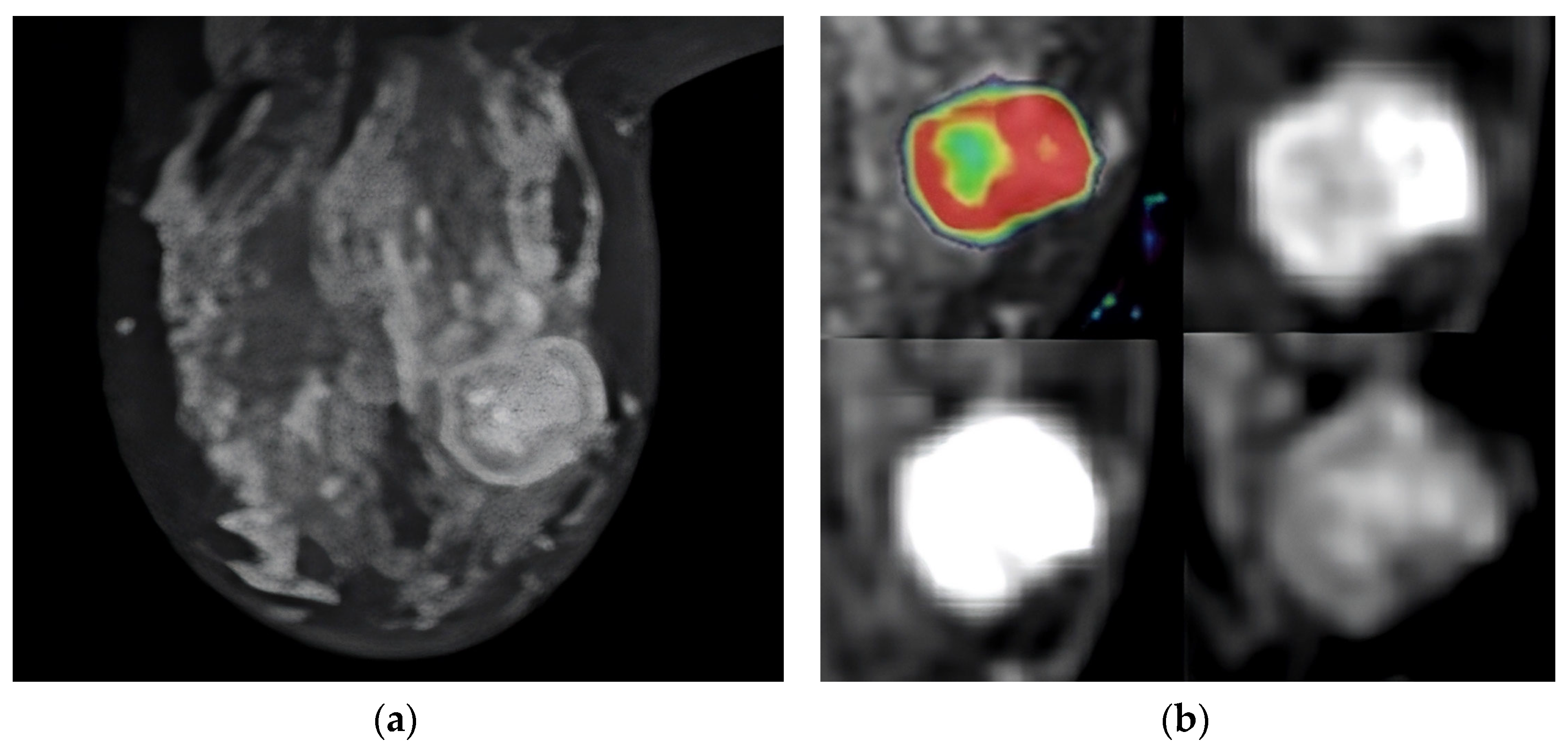 Diagnostics 13 03260 g002