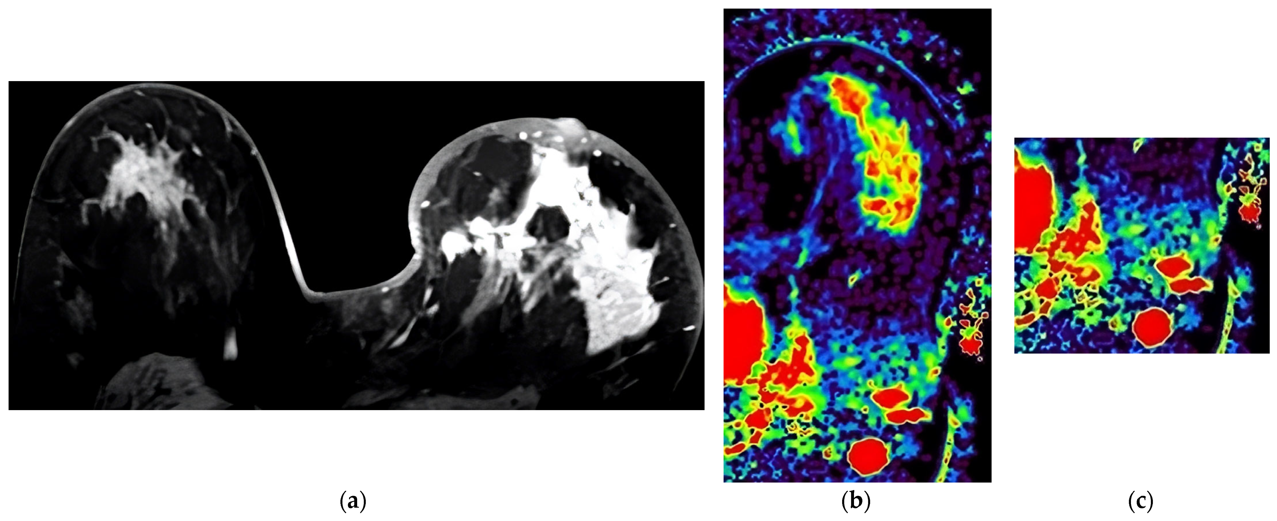 Diagnostics 13 03260 g003