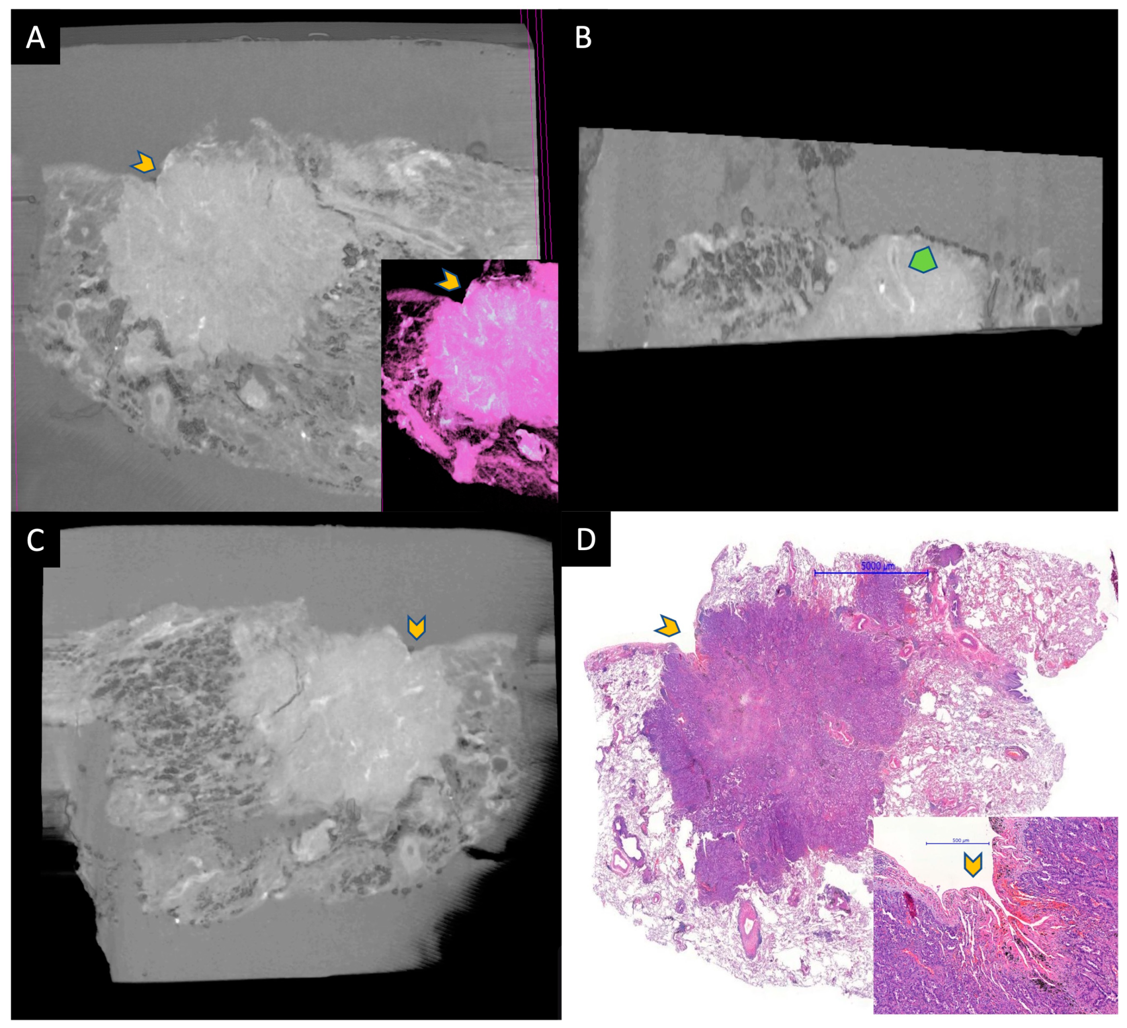 Diagnostics 13 03262 g002