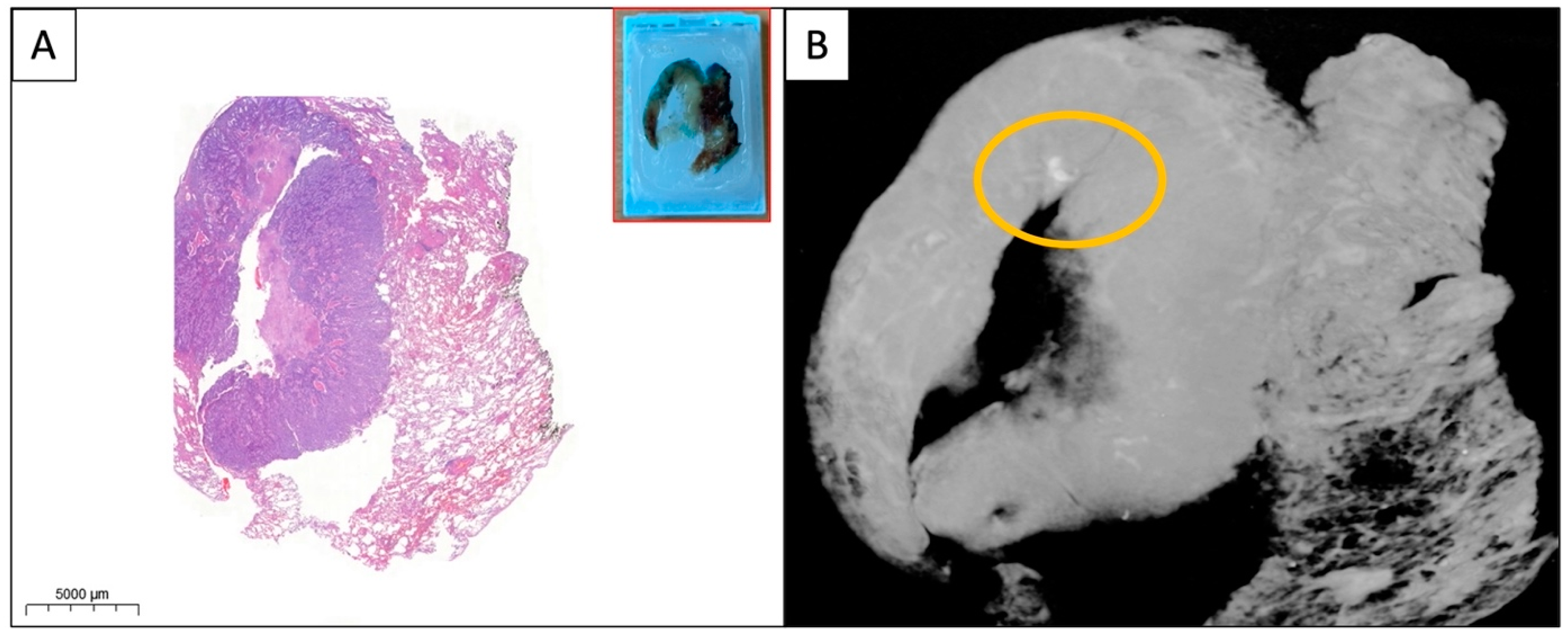 Diagnostics 13 03262 g003