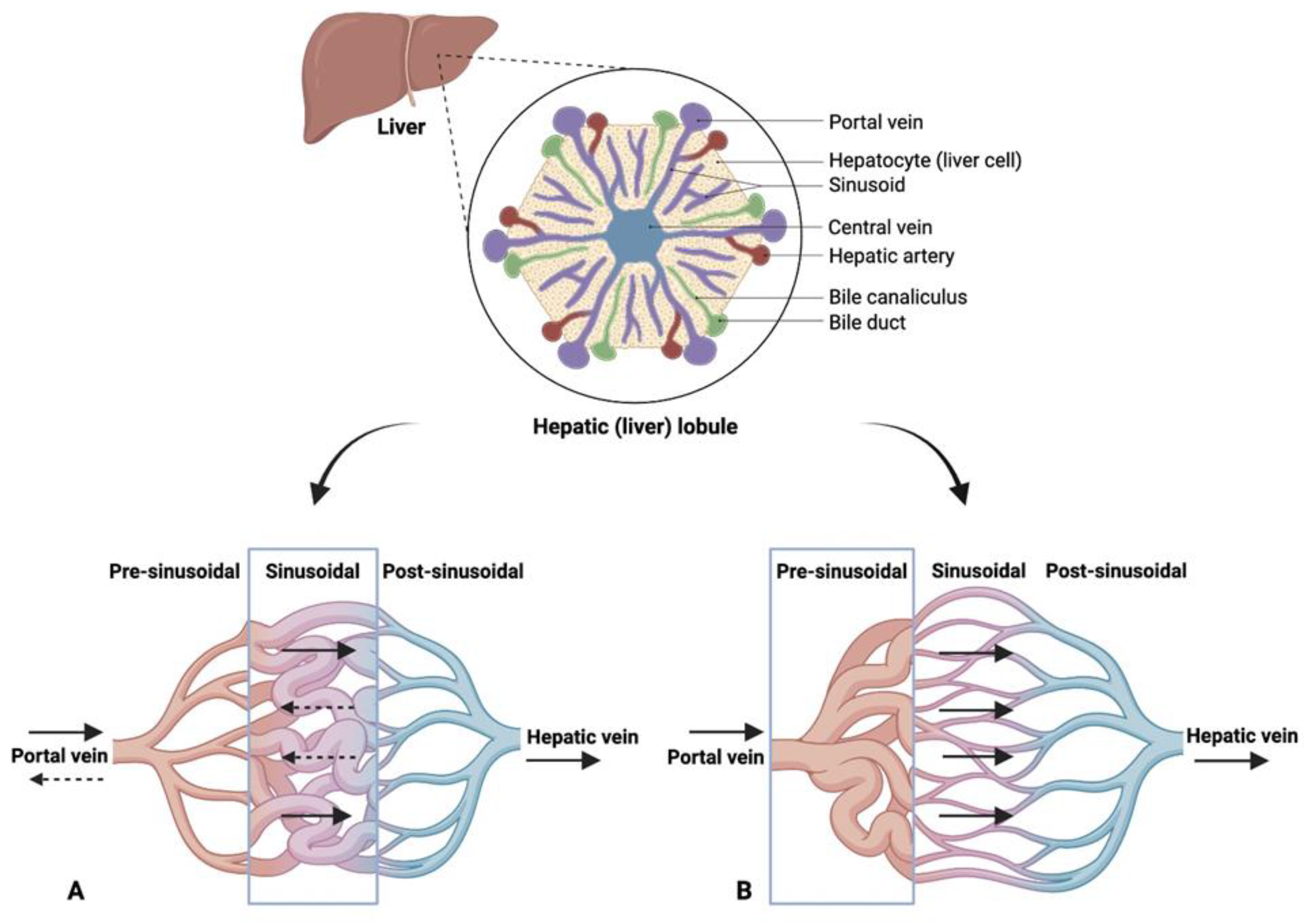 Diagnostics 13 03263 g001