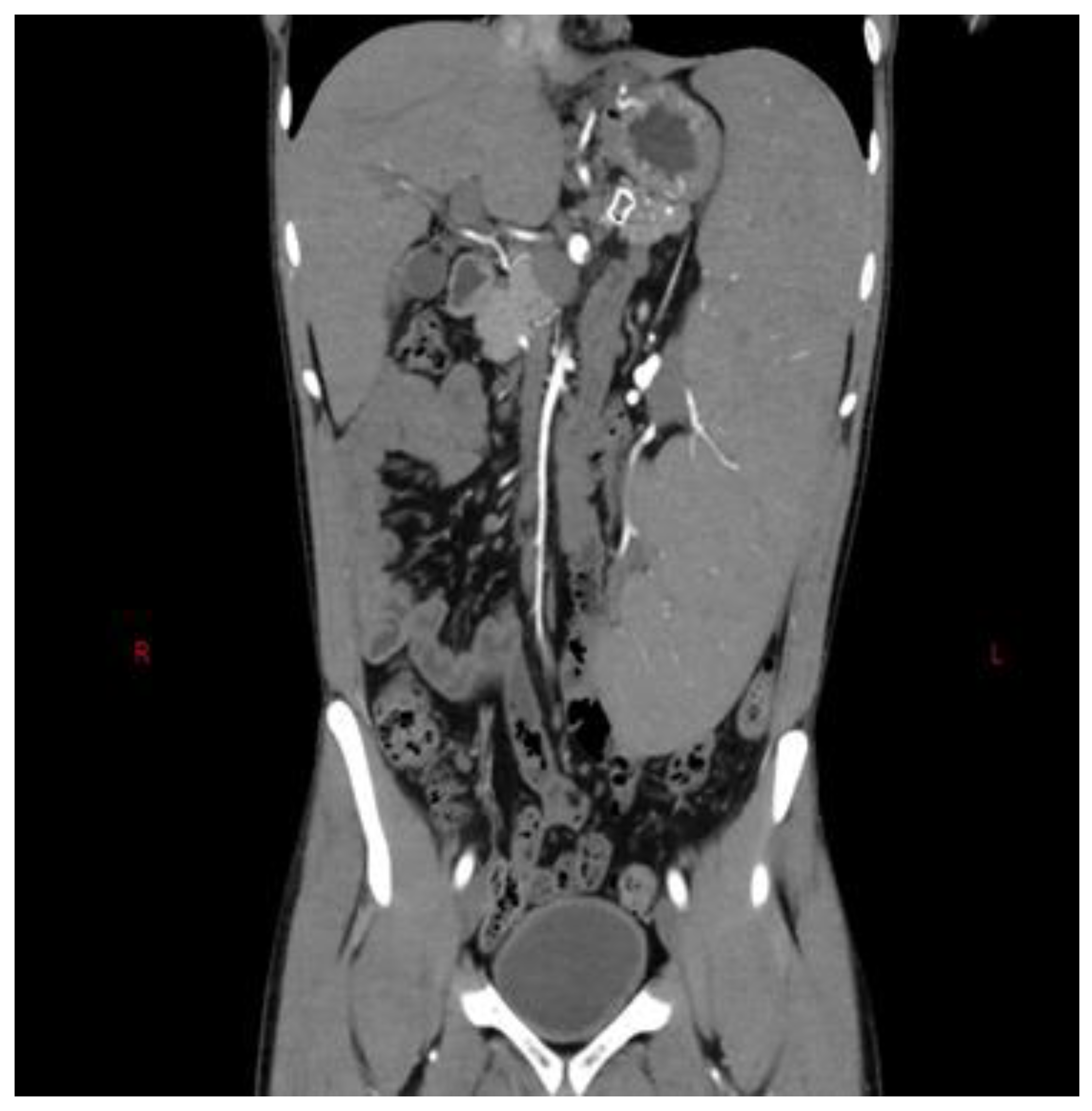 Diagnostics 13 03263 g002