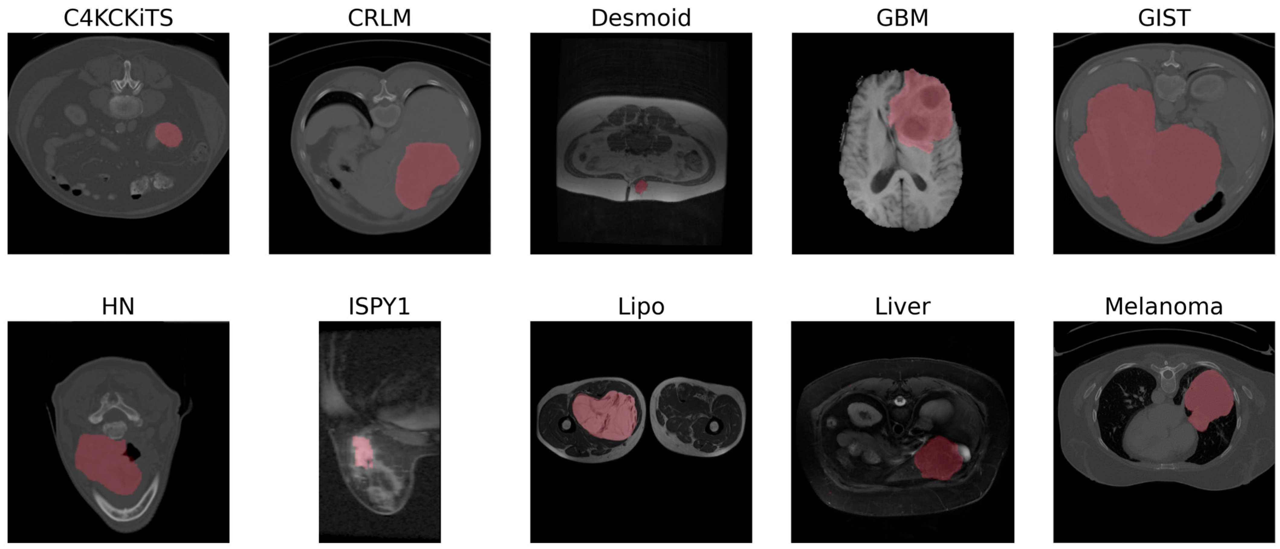 Diagnostics 13 03266 g002