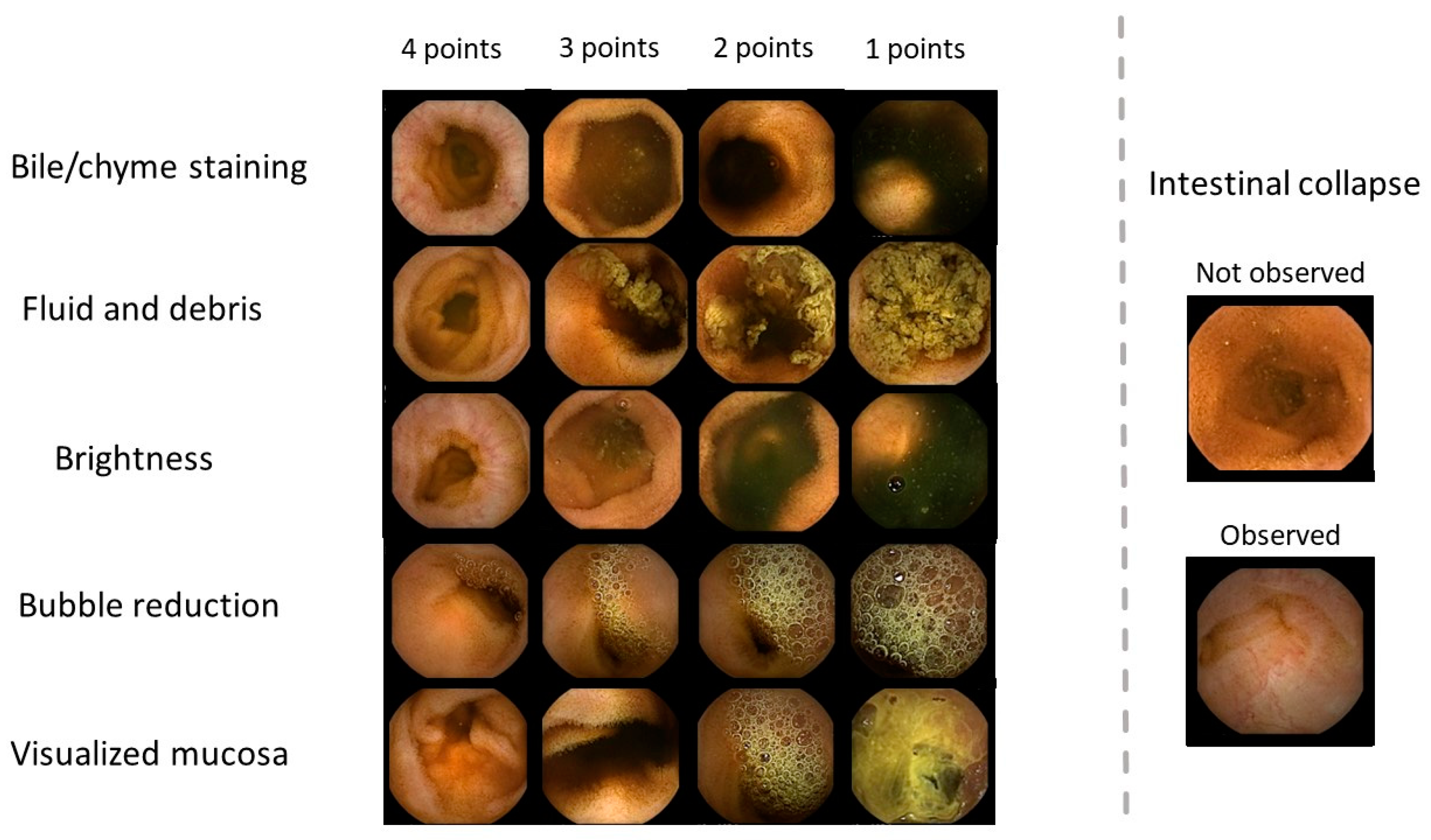 Diagnostics 13 03269 g001