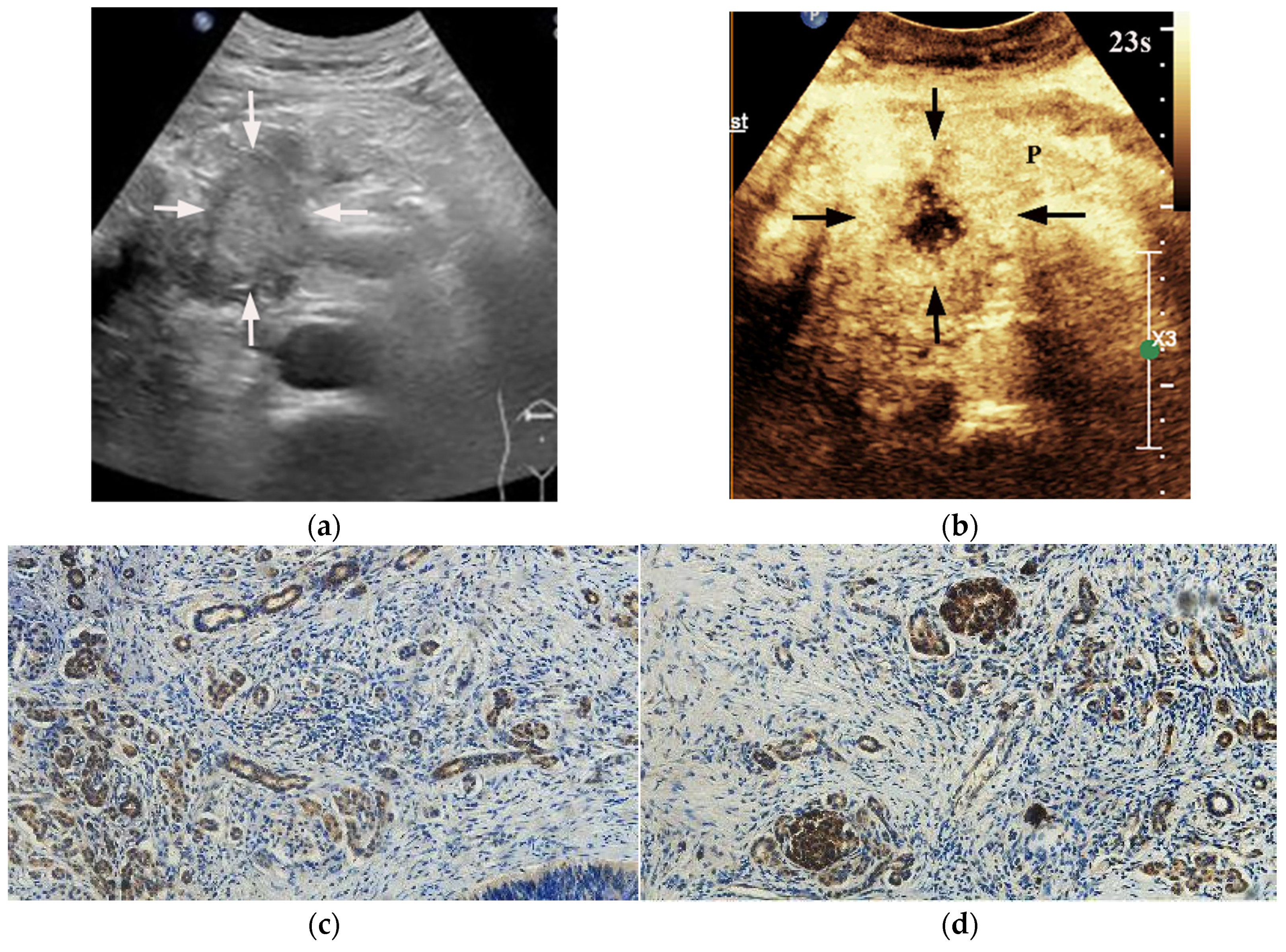 Diagnostics 13 03270 g002