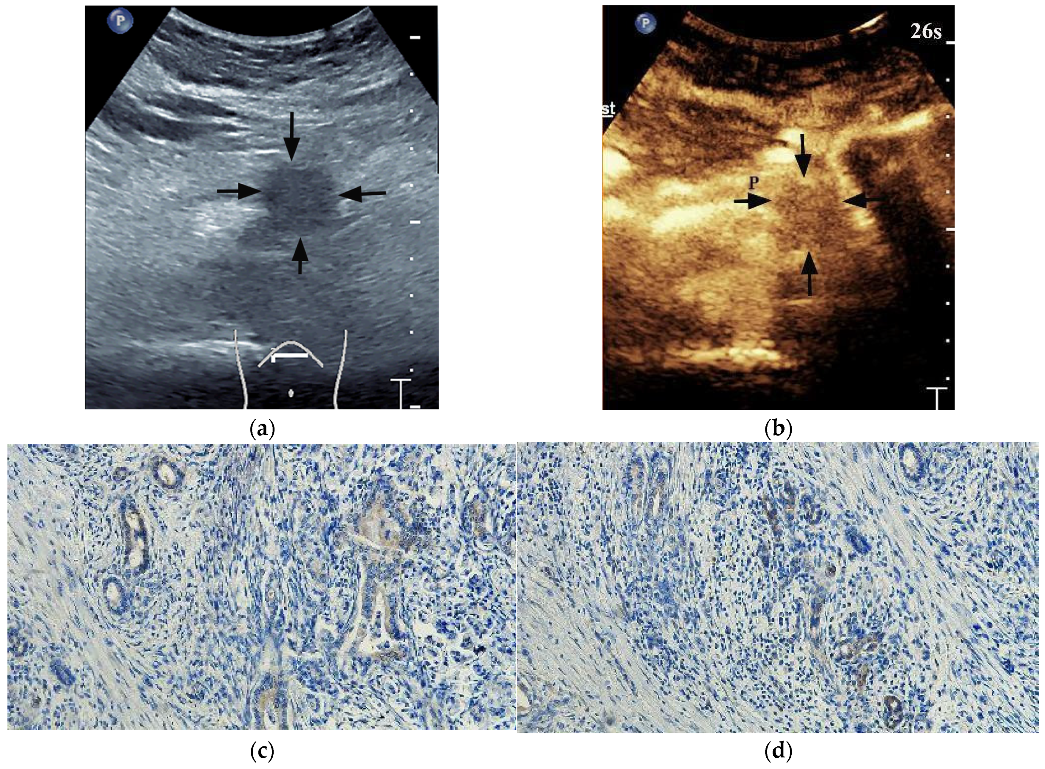 Diagnostics 13 03270 g003