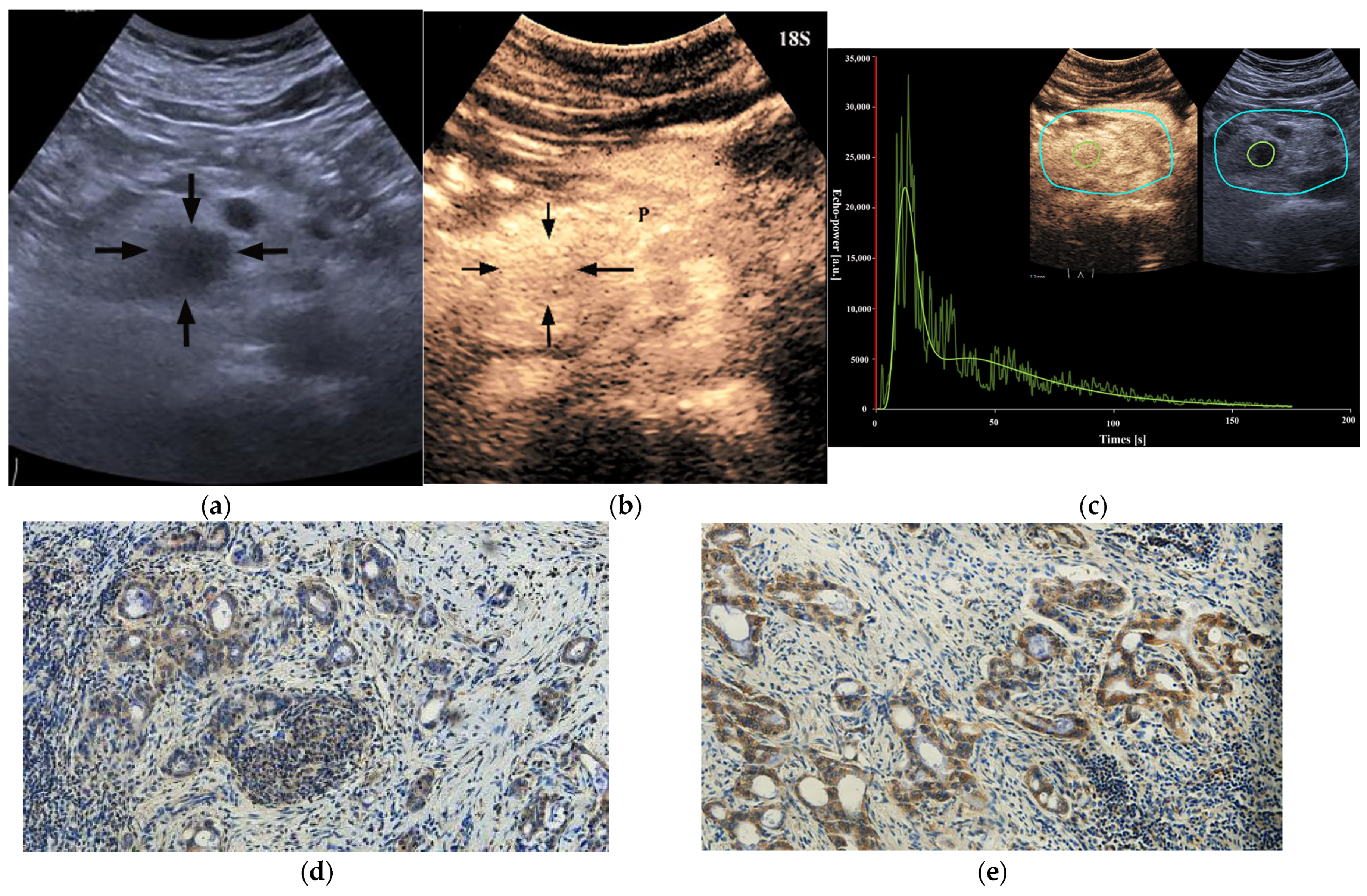 Diagnostics 13 03270 g005
