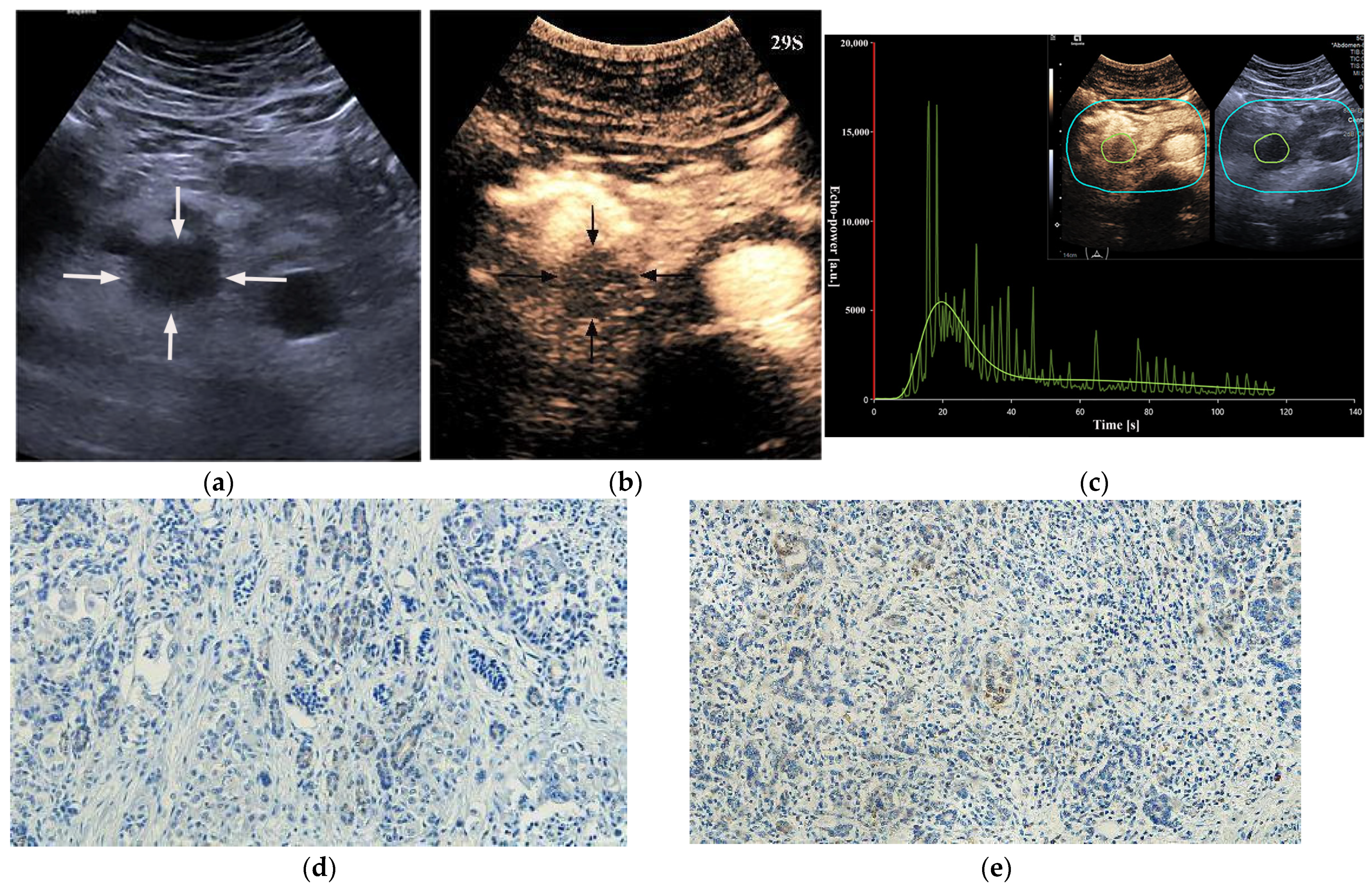 Diagnostics 13 03270 g006