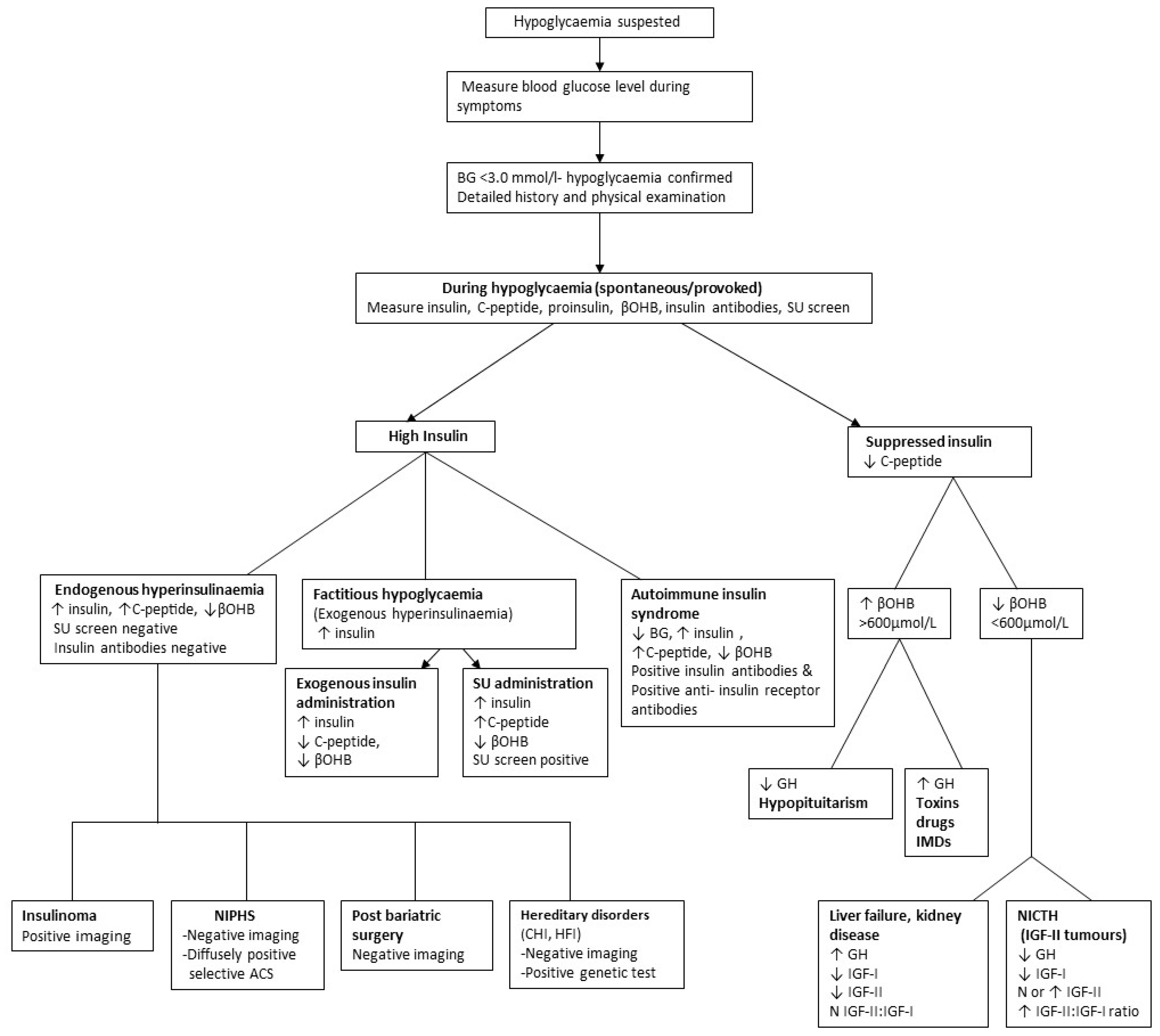 Diagnostics 13 03275 g001